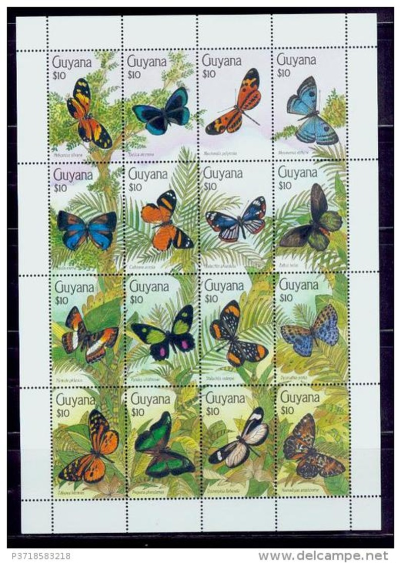 Guyana/ Rarely Butterflies#1/very Nice - Farfalle