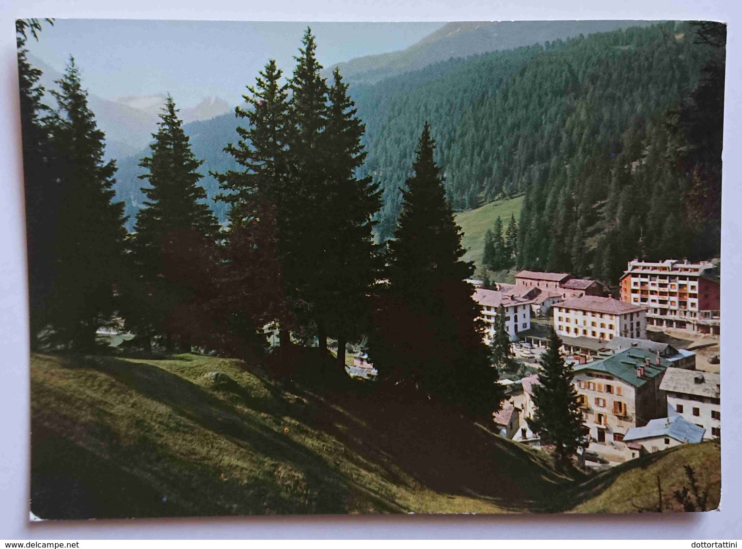 SANTA CATERINA VALFURVA (SONDRIO) - Valtellina - La Sua Pineta - Vg  L3 - Sondrio