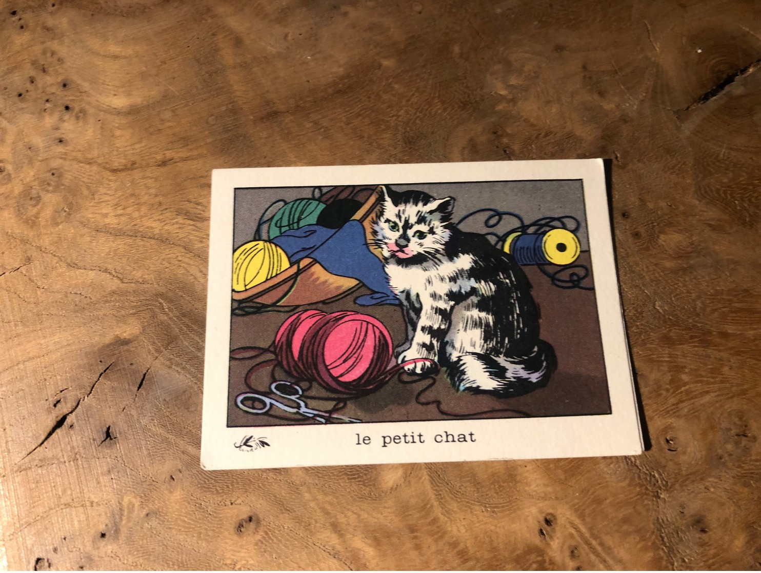 320/ BON POINT 1964 LE PETIT CHAT - Altri & Non Classificati