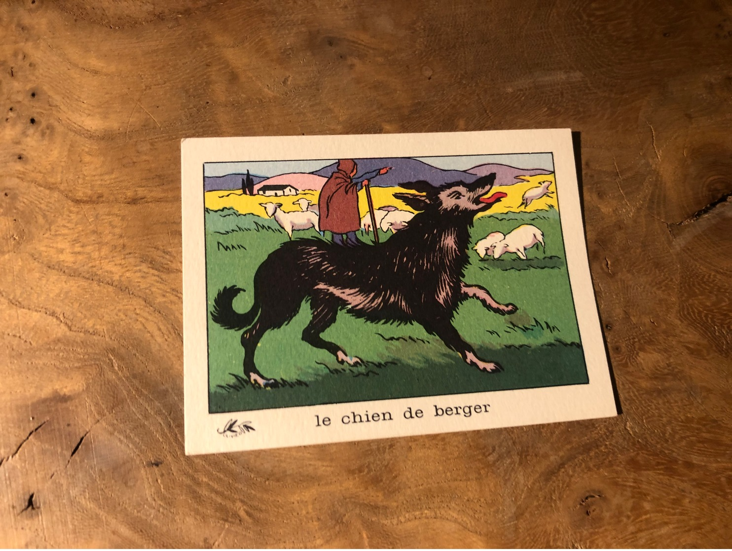 320/ BON POINT 1964 LE CHIEN DE BERGER - Altri & Non Classificati