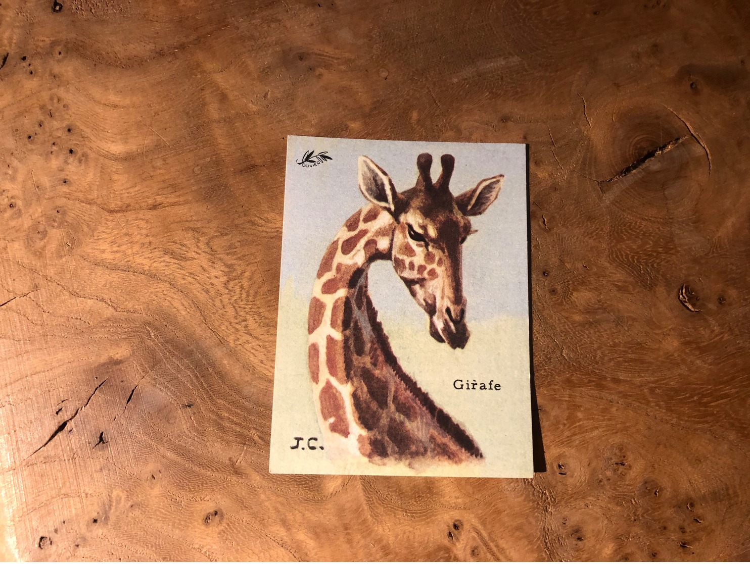 320/ BON POINT 1964 GIRAFE - Altri & Non Classificati