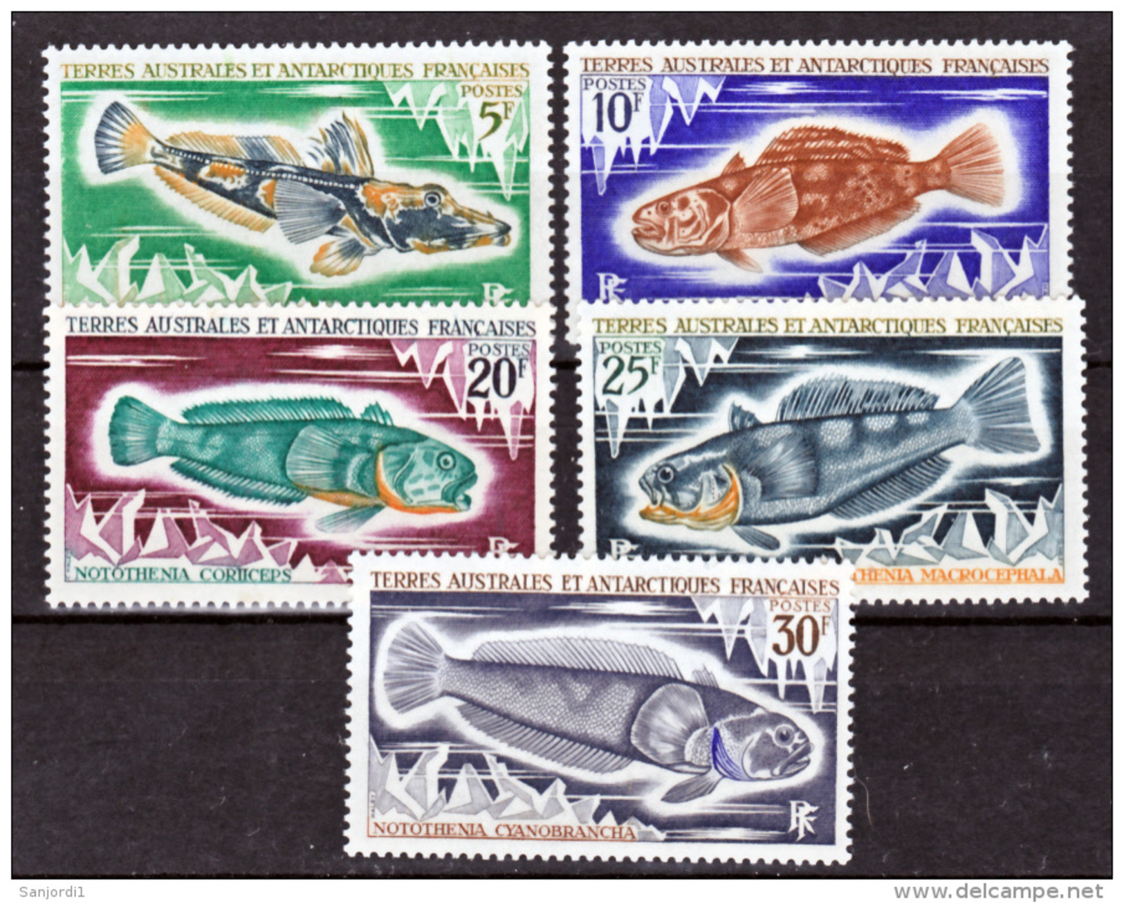 TAAF    34 38  Poissons   Neuf ** MNH Sin Charmela Cote 26 - Nuevos