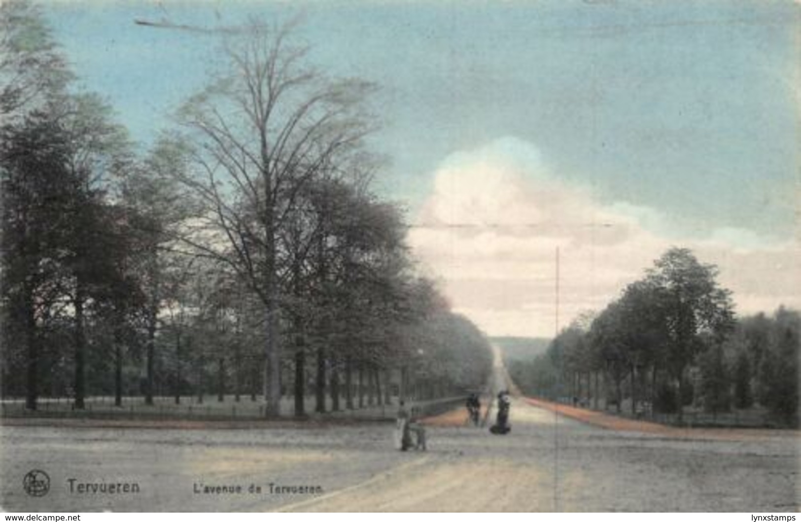 Belgium Tervueren L'Avenue De Tervueren Road Postcard - Autres & Non Classés