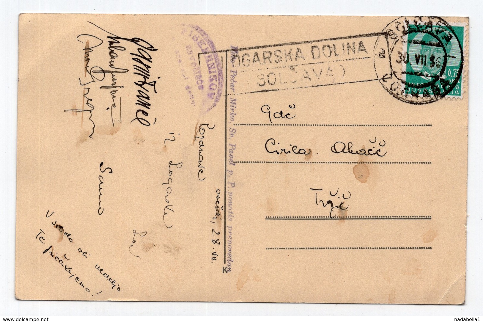 1936 YUGOSLAVIA, SLOVENIA, LOGARSKA DOLINA, SOLCAVA, SENT TO TRZIC, EDELWEISS,  USED ILLUSTRATED POSTCARD - Yugoslavia