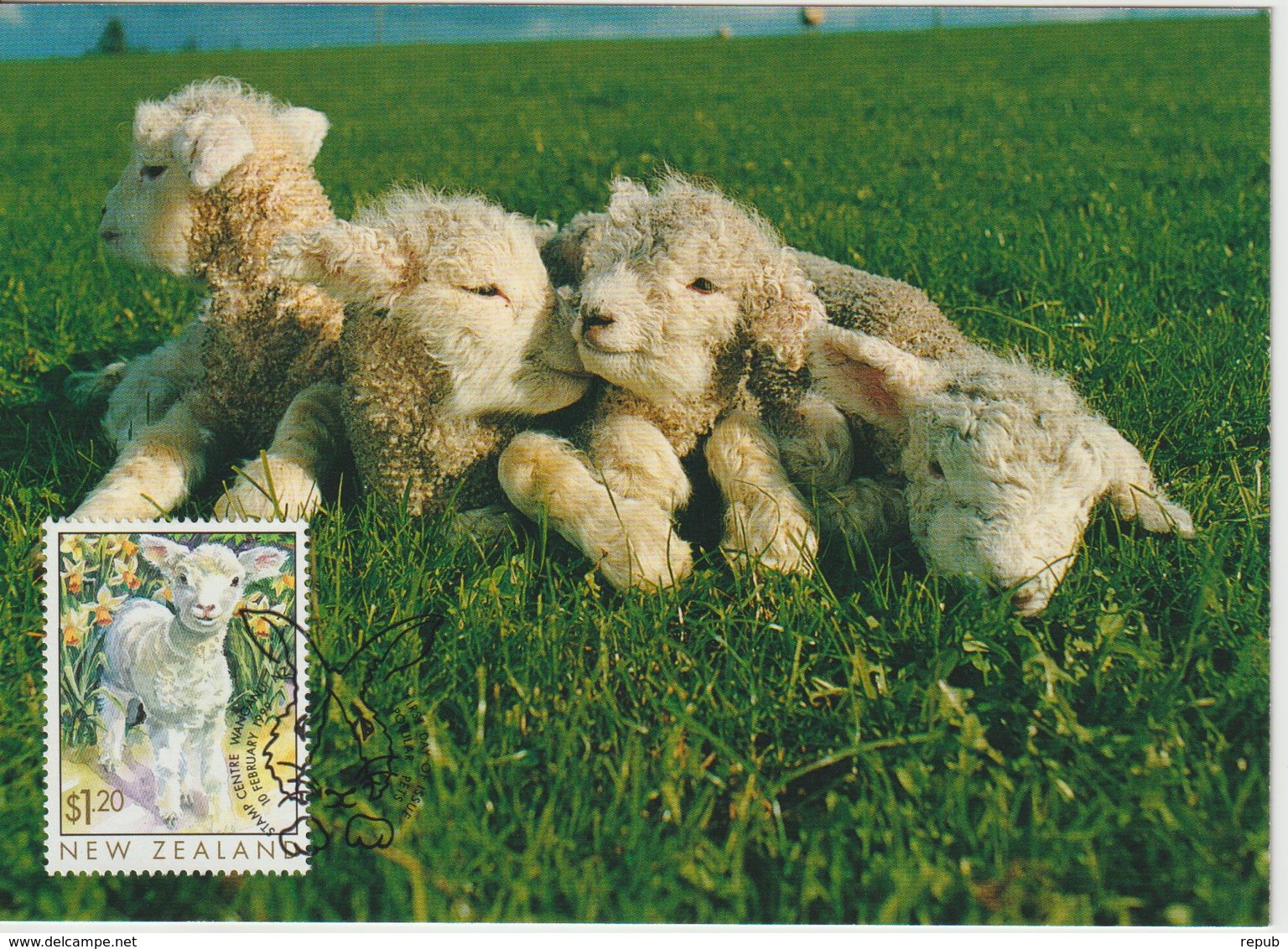 Nouvelle Zélande Carte Maximum 1999 Mouton 1683 - Lettres & Documents