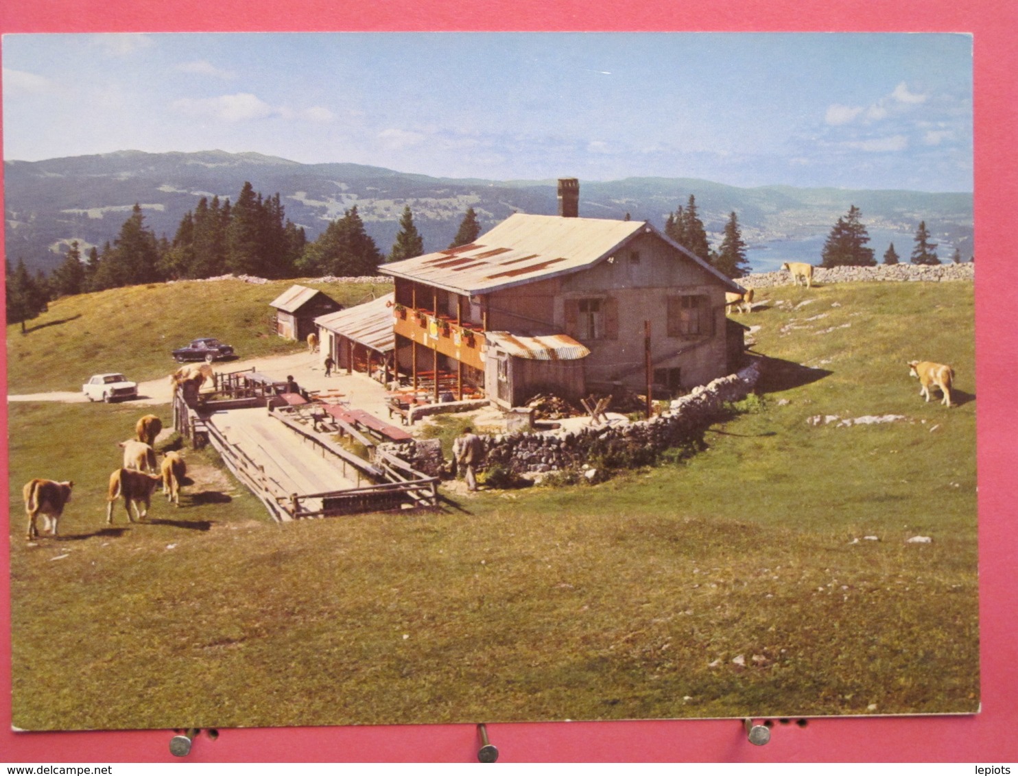 Visuel Très Peu Courant - Suisse - Chalet Restaurant Dent De Vaulion - Mont Tendre Et Vallée De Joux - Scans Recto Verso - Vaulion