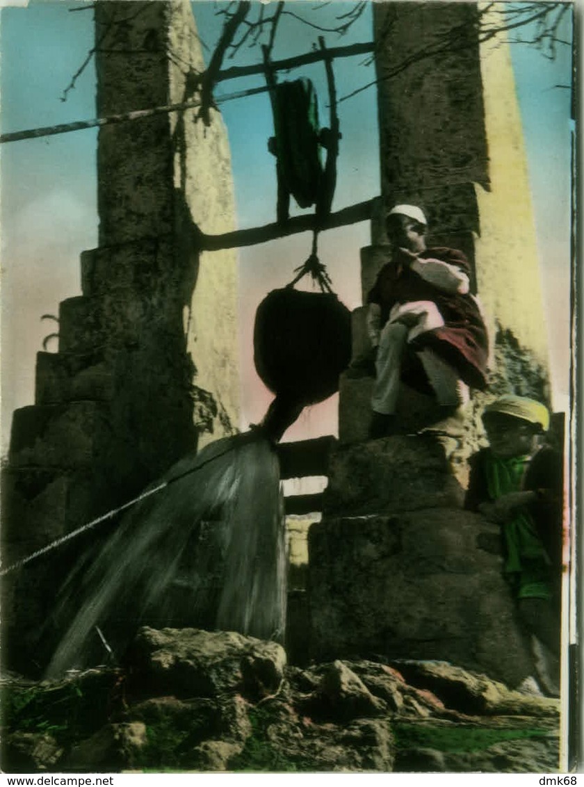 AFRICA - LIBIA / LIBYA - ARAB WELL / POZZO ARABO  - FOTO AULA - Prototype  POSTCARD - 1957 (BG6716) - Libya