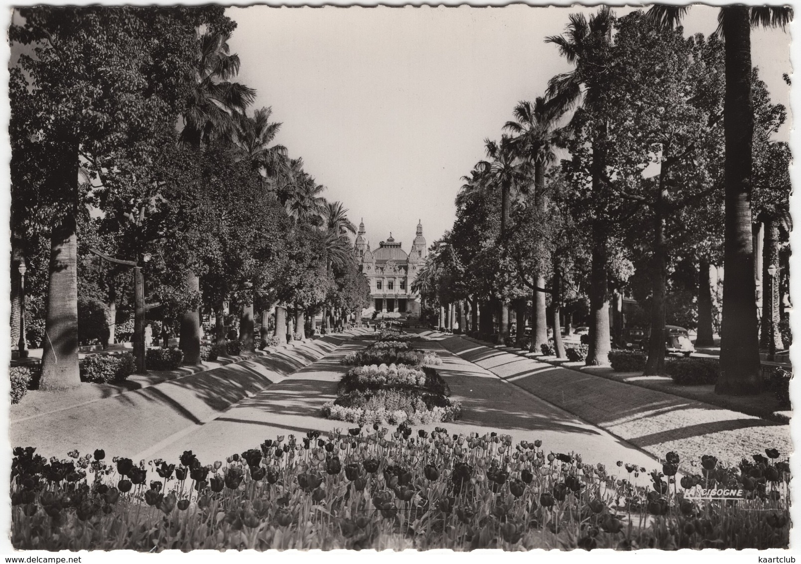 Monte-Carlo - Les Jardins Et Le Casino - Casino