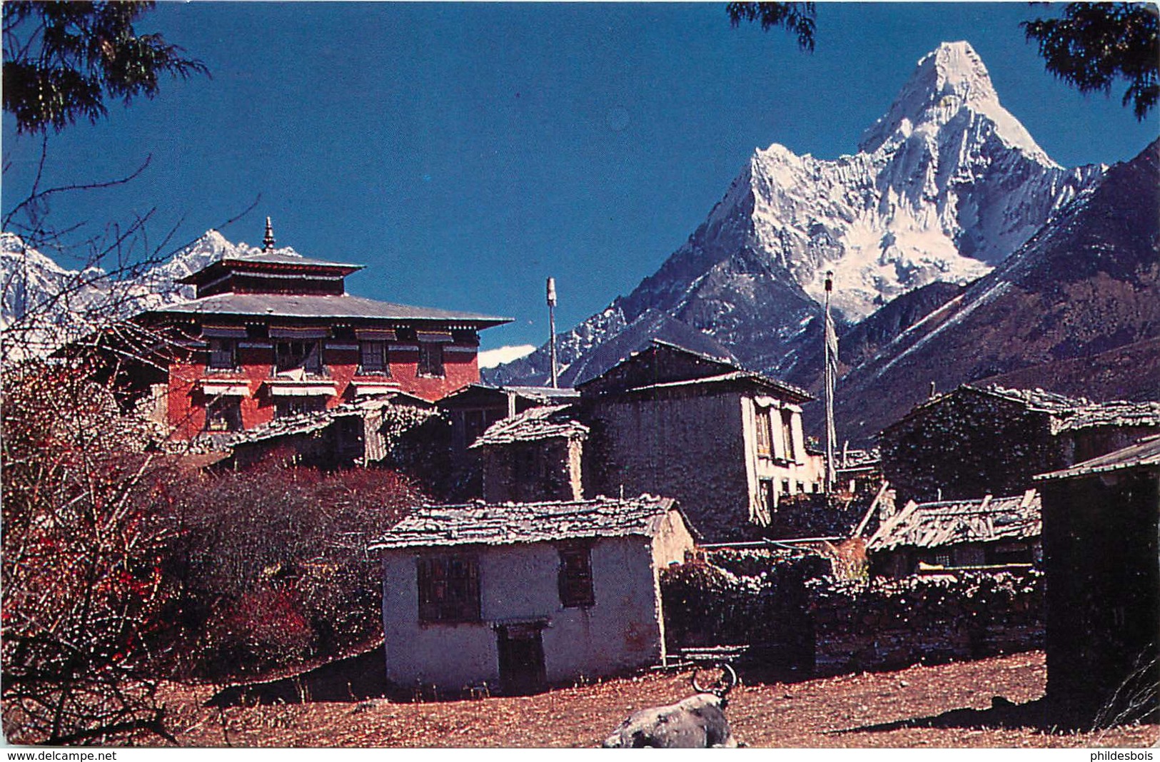 ASIE  NEPAL Monastere - Nepal