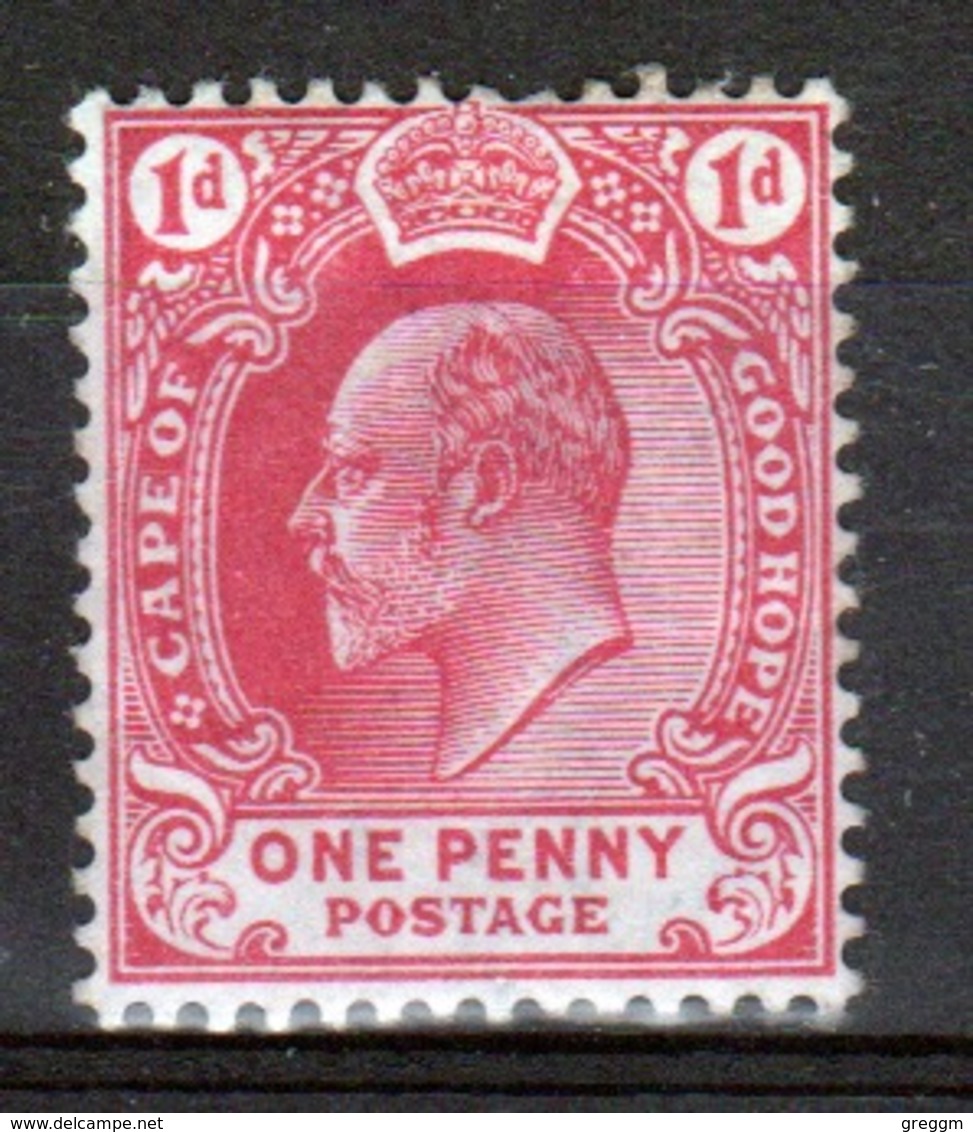 Cape Of Good Hope Edward VII 1902 One Penny Stamp. - Cape Of Good Hope (1853-1904)