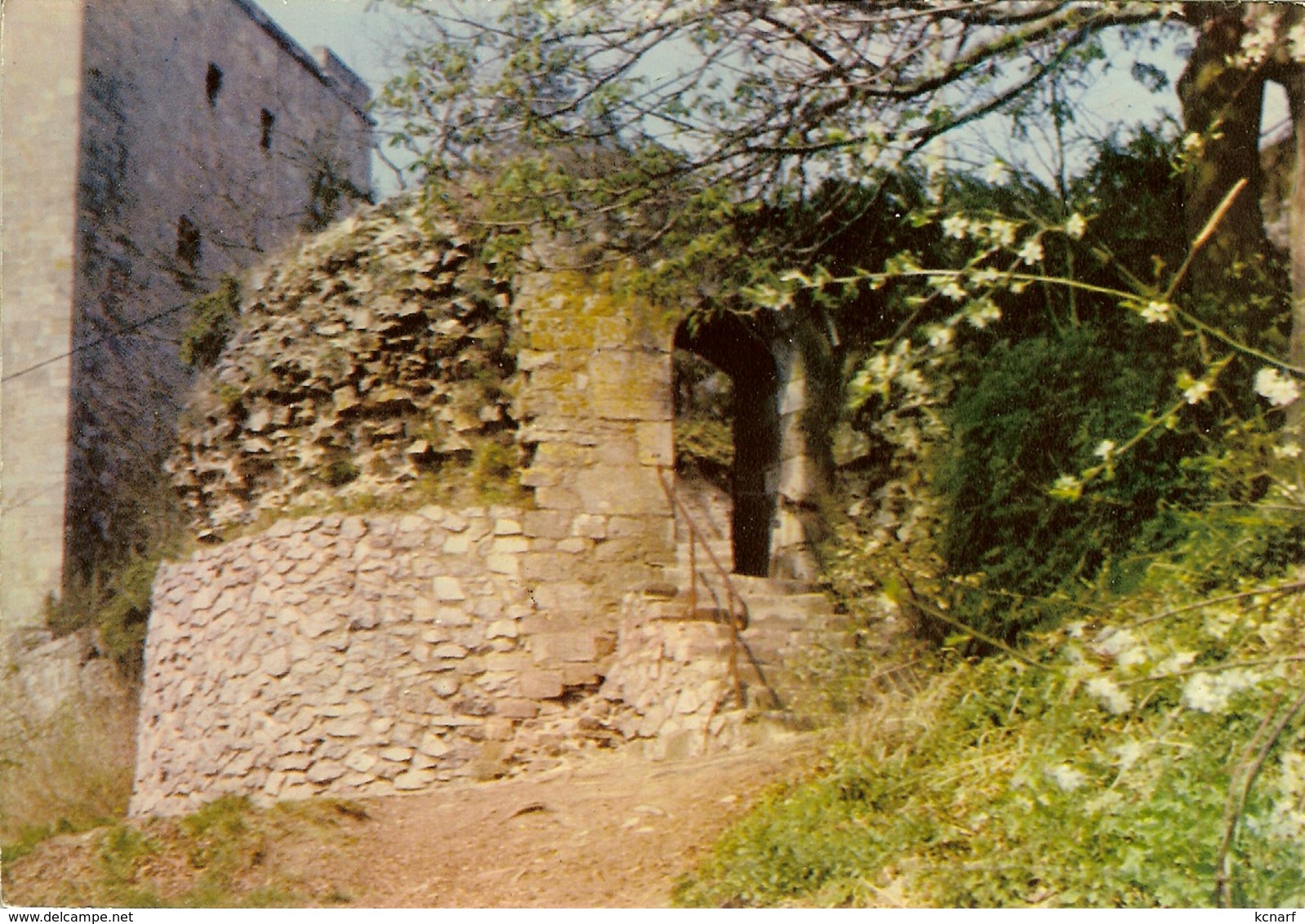 CP De BEAUMONT " La Poterne Et La Tour Salamande " - Thuin