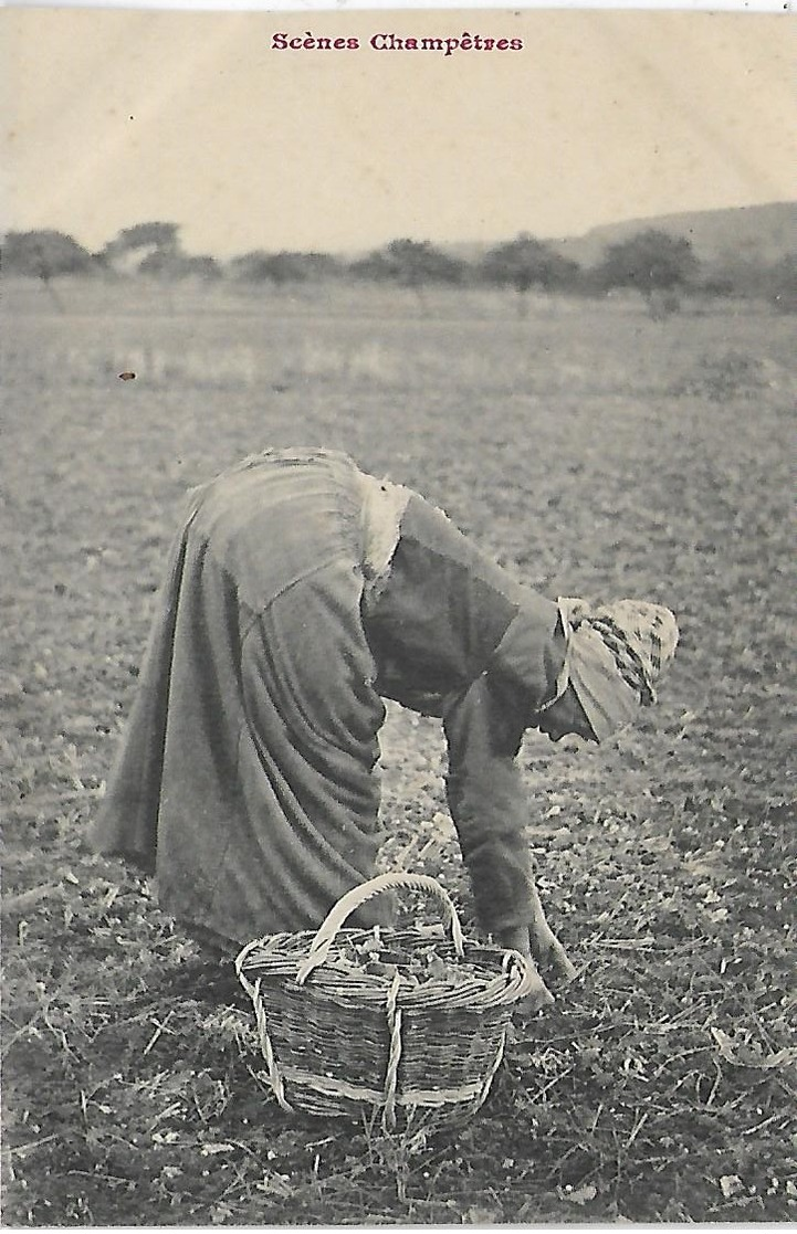 Agriculture, Scène Champètres, Scan Recto Verso - Other & Unclassified