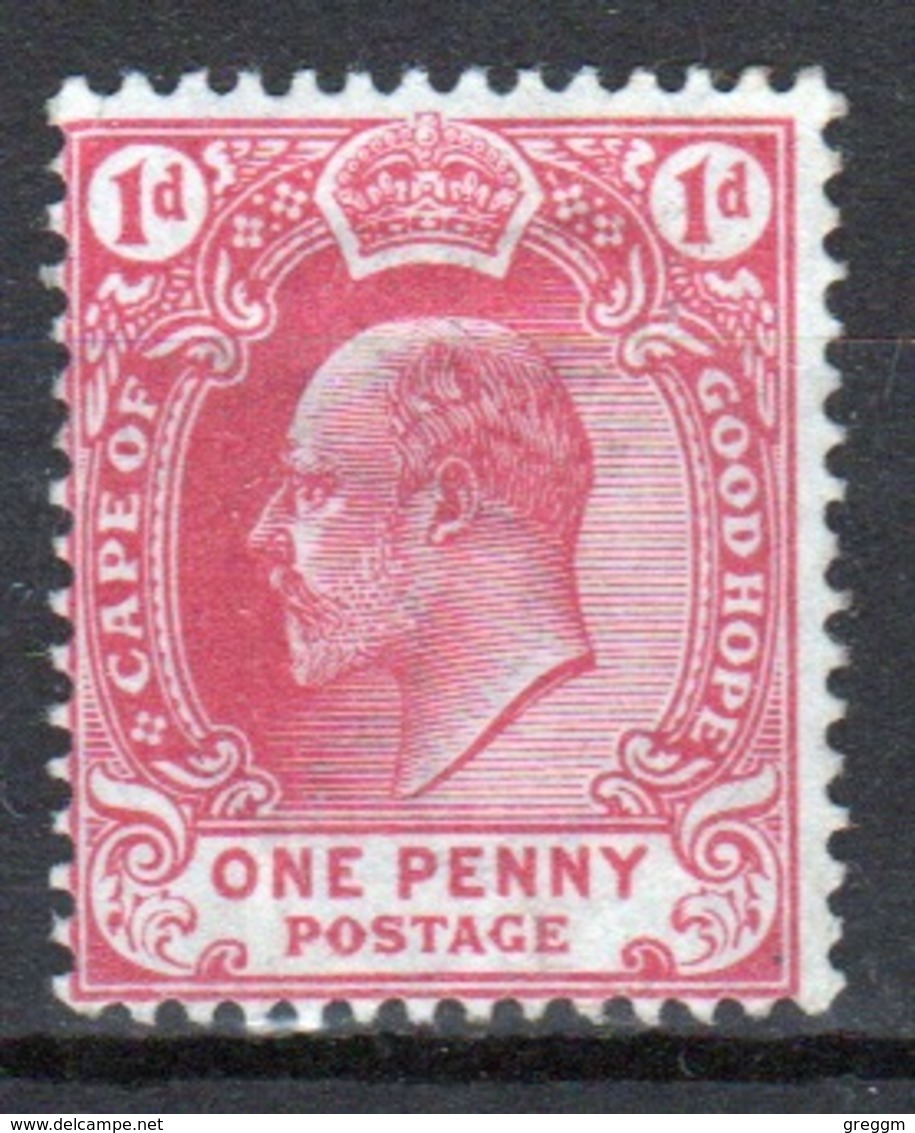 Cape Of Good Hope Edward VII 1902 One Penny Stamp. - Cape Of Good Hope (1853-1904)