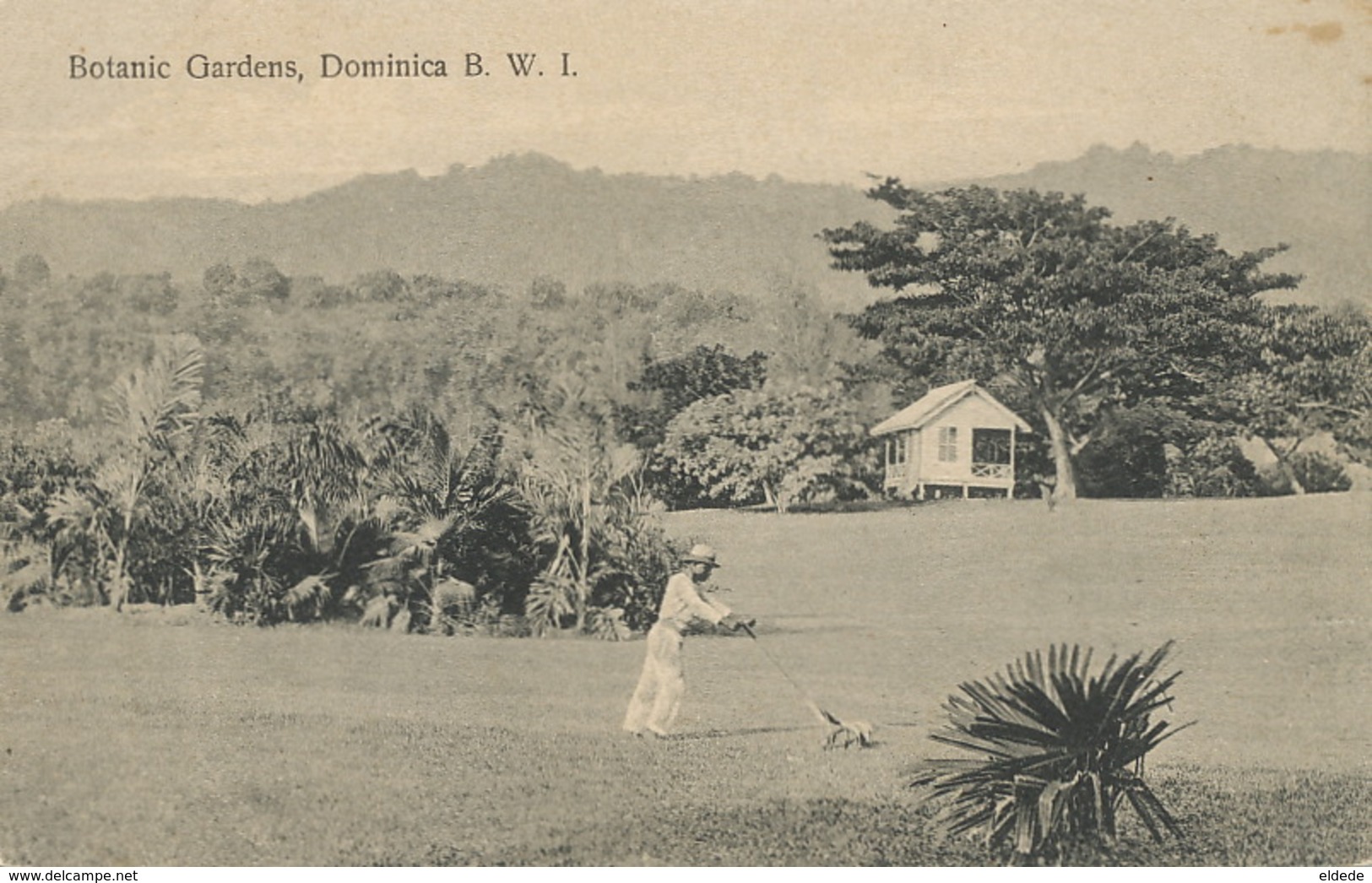 Botanic Gardens , Dominica B.W.I.  Edit Bridgwater Roseau  . Lawn Mower . Tondeuse à Gazon Manuelle - Dominica
