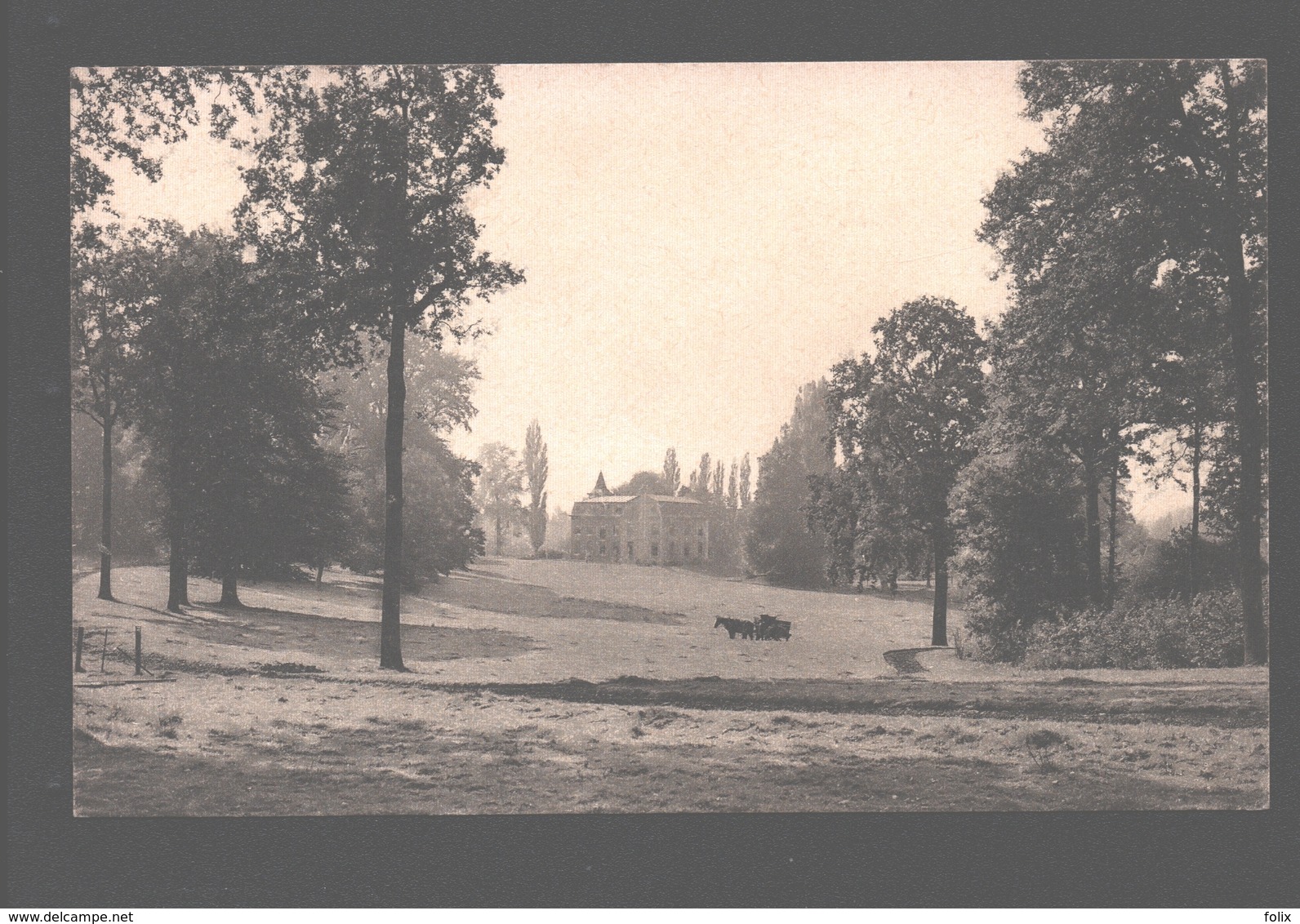 Sint-Huibrechts-Hern / Hern St. Hubert / Hoeselt - Château De Hardelingen - Hoeselt