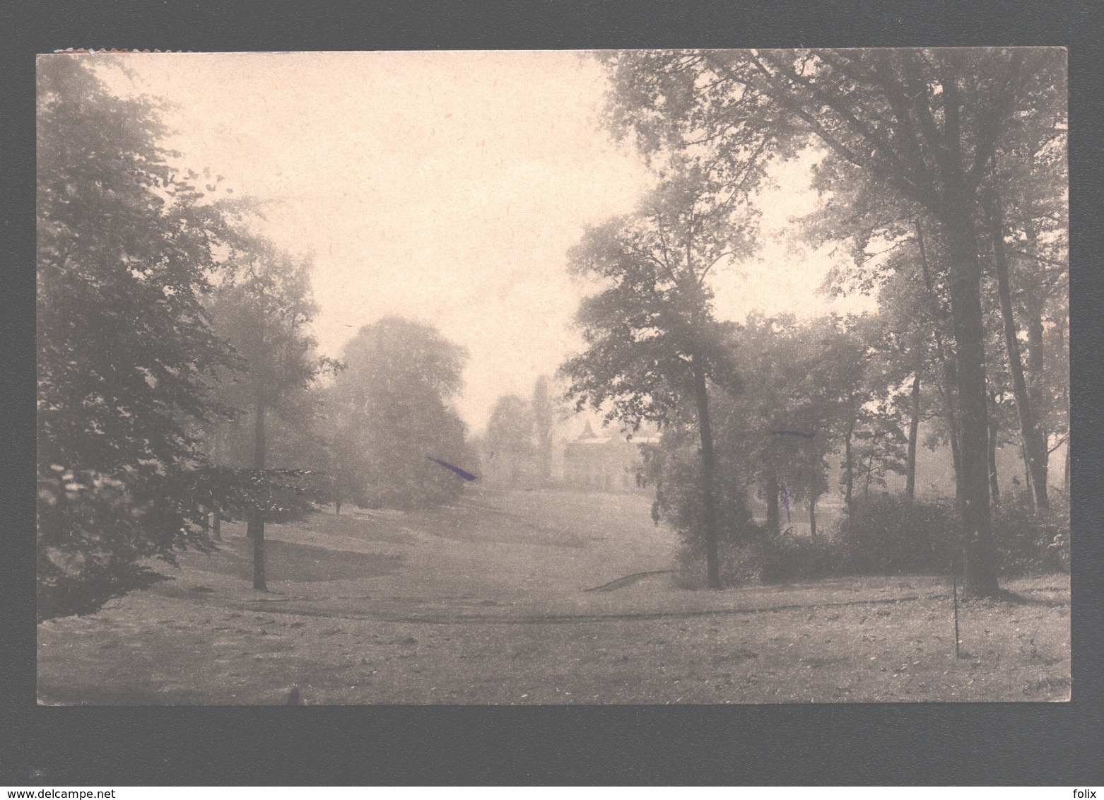 Sint-Huibrechts-Hern / Hern St. Hubert / Hoeselt - Château De Hardelingen - Hoeselt