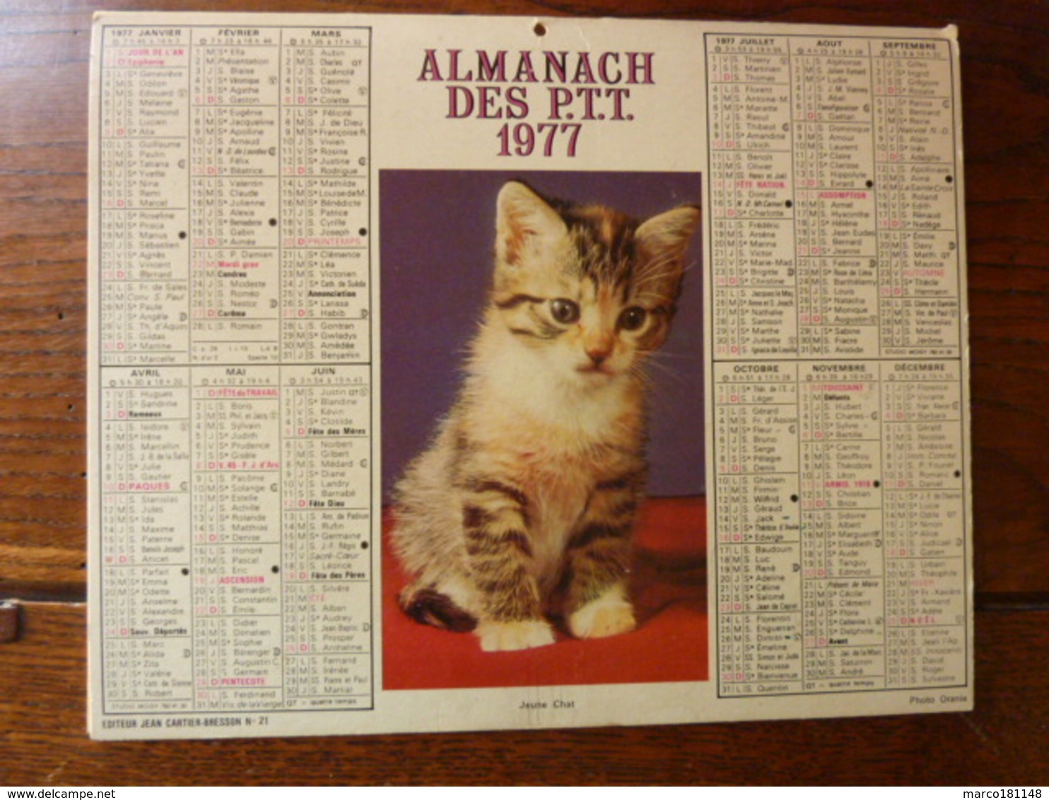 Calendrier, Almanach Des P.T.T. 1977 - Jeune Chat, Jument Et Poulain - Autres & Non Classés