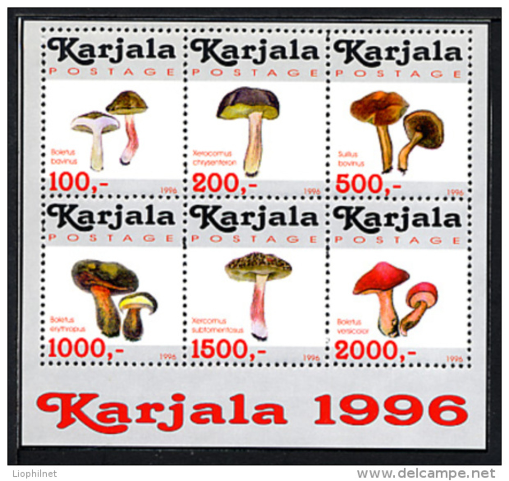 KARELIA KARJALA CARELIE 1996, CHAMPIGNONS A / MUSHROOMS, FANTAISIE / CINDERELLA, 6 Valeurs, Neufs / Mint. R935 - Fantasie Vignetten