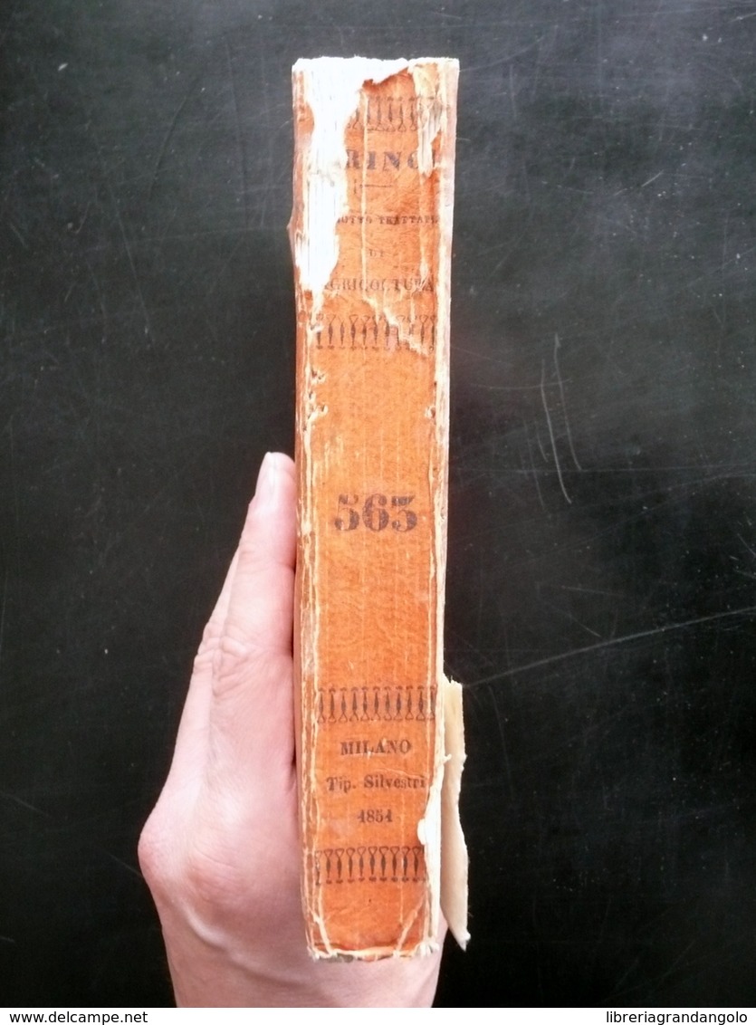 Trinci Diciotto Trattati Di Agricoltura Silvestri Milano 1851 1° Ed. Milanese - Non Classés