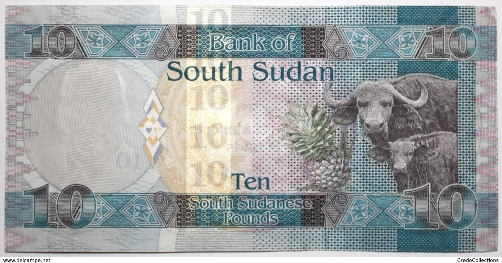 Soudan Du Sud - 10 Pounds - 2011 - PICK 7a - NEUF - South Sudan