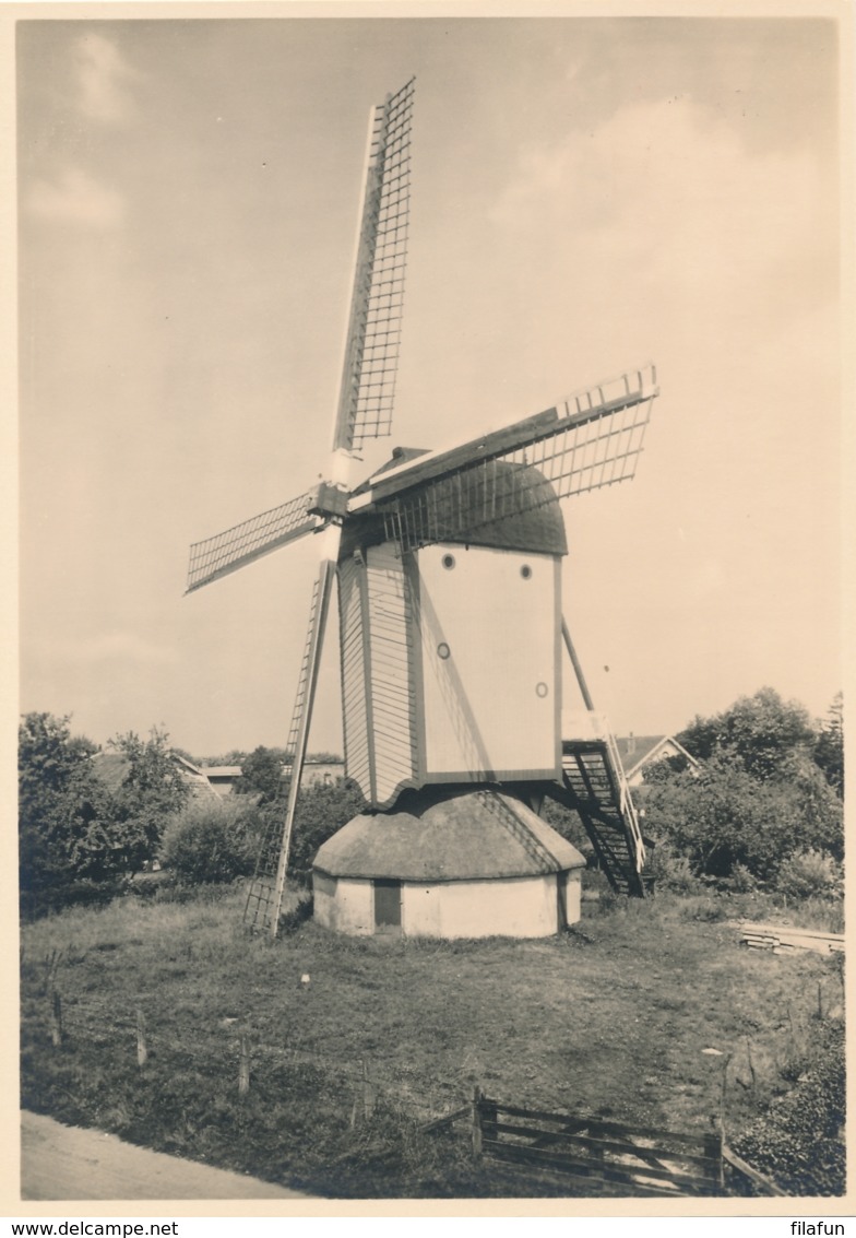 Nederland - 1946 - Molen Serie 3 - Scherpenzeel Standaardmolen - Foto-briefkaart G285c Ongebruikt - Postal Stationery