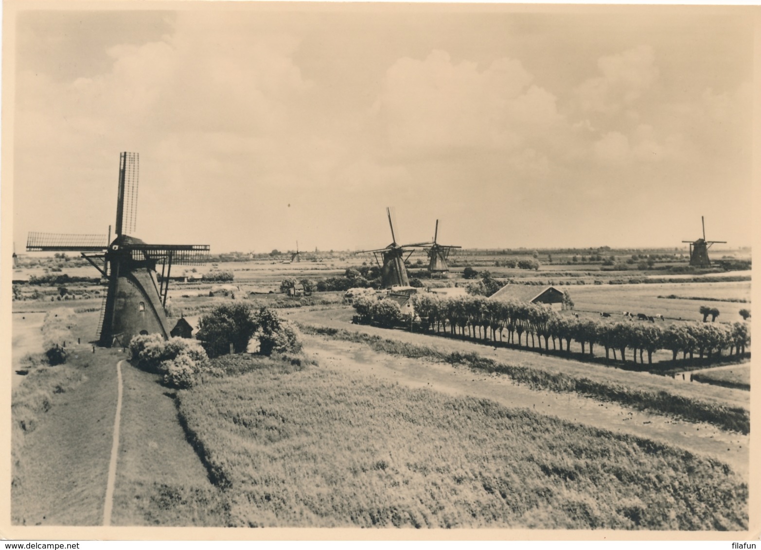 Nederland - 1946 - Molen Serie 5 - Alblasserwaard Bovenkruiers - Foto-briefkaart G285e Ongebruikt - Ganzsachen