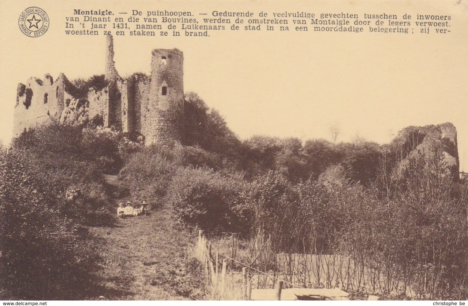 Montaigle, De Puinhopen, Les Ruines (pk65578) - Onhaye