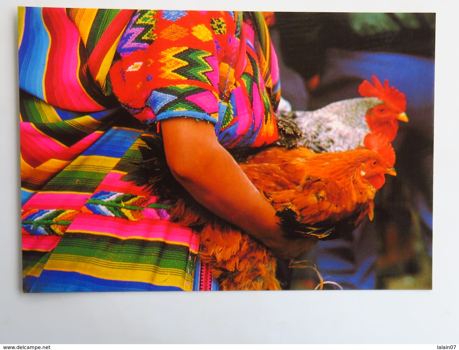 Carte Postale : GUATEMALA : Mujer Con Gallina CHICHICASTENANGO - Guatemala