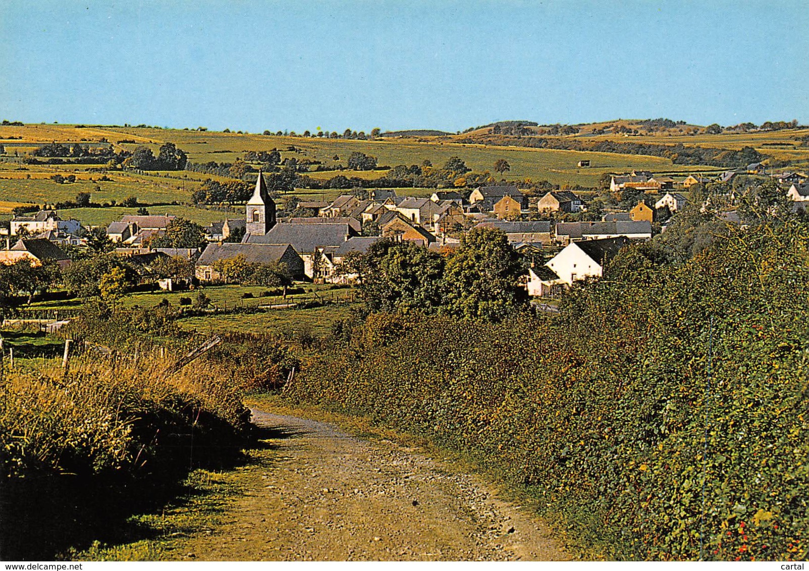 CPM - CHANLY Sur LESSE - Panorama - Wellin