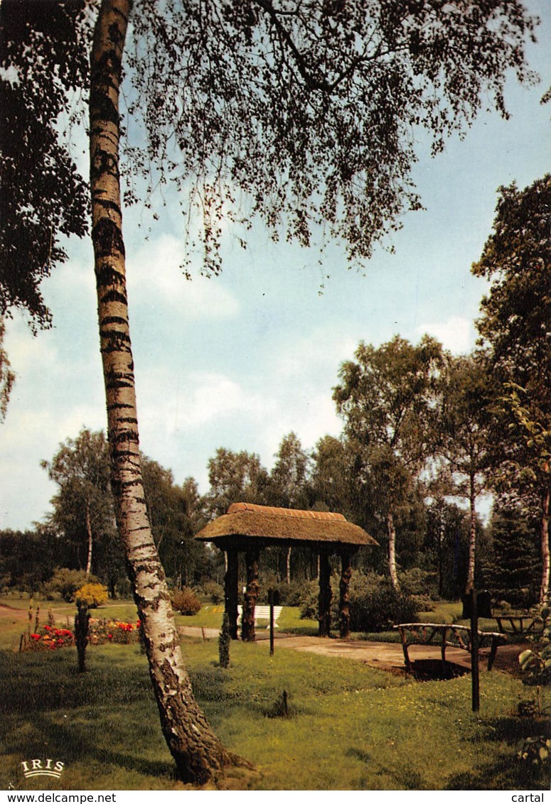 CPM - DOMEIN BOKRIJK - Het Arboretum - Genk