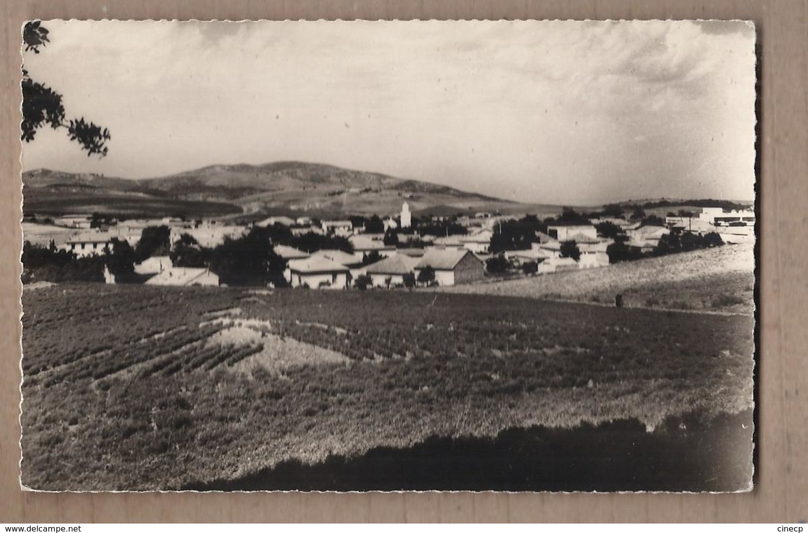 CPSM ALGERIE - BERROUAGHIA ( ALGER ) - Vue Générale - TB PLAN D'ensemble Du Village - Autres & Non Classés