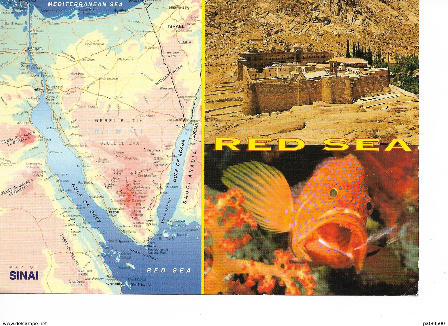 EGYPTE ?? MER ROUGE Et CARTE Du SINAÏ / CPM Grand Format  Voyagée 2007 ? Poisson Magnifique !! - Other & Unclassified