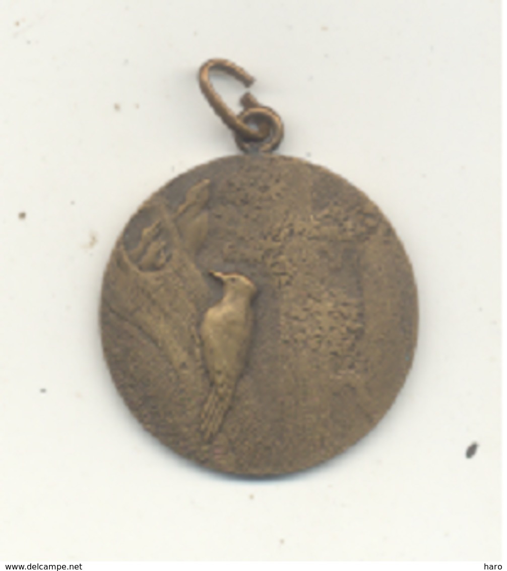 Médaille - Fédération Des Amis De L'OISEAU - VERVIERS - +/- 1925 - Exposition, Ornithologie, Tenderie,...(SL) - Profesionales / De Sociedad