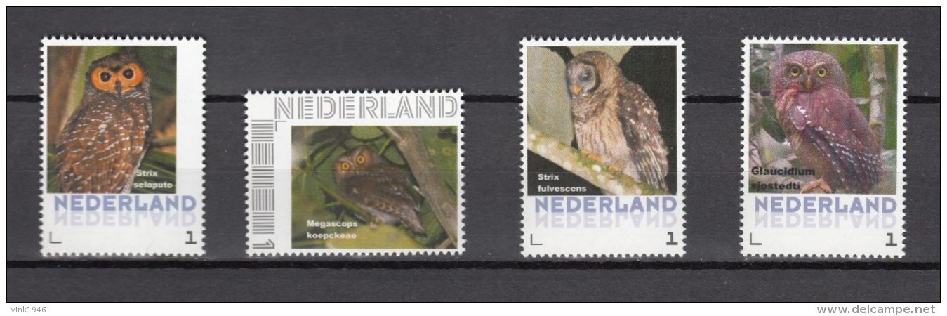 Nederland/Netherlands 2016,4V,30e Set,customized,RARE,owls,vogels,vögel,oiseaux,pajaros,,MNH/Postfris(V009) - Uilen