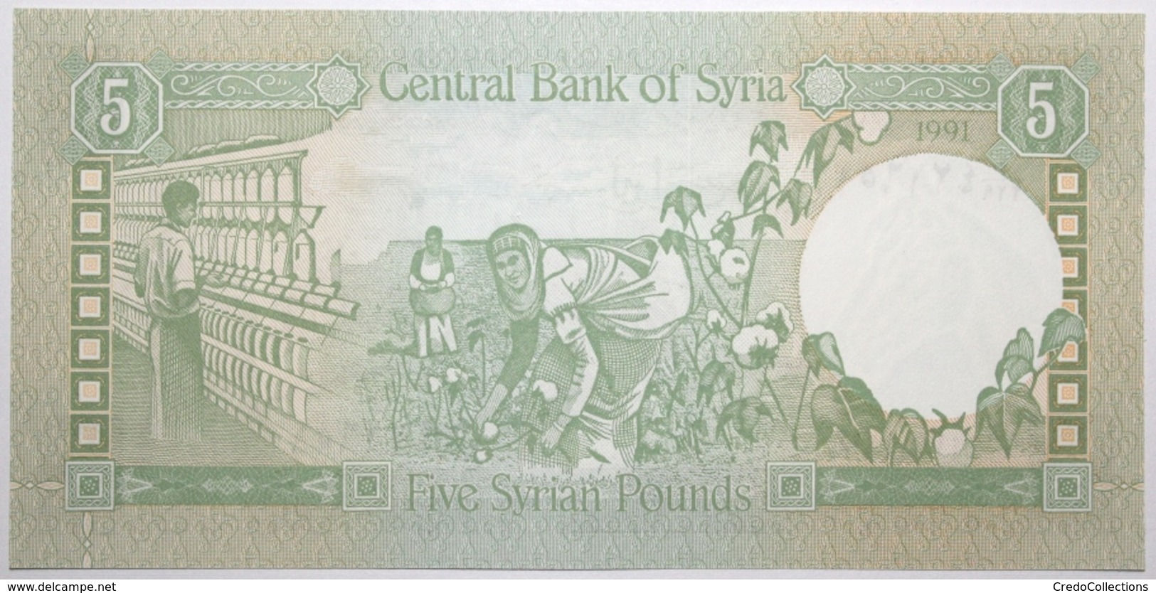 Syrie - 5 Pounds - 1991 - PICK 100e - NEUF - Syrie