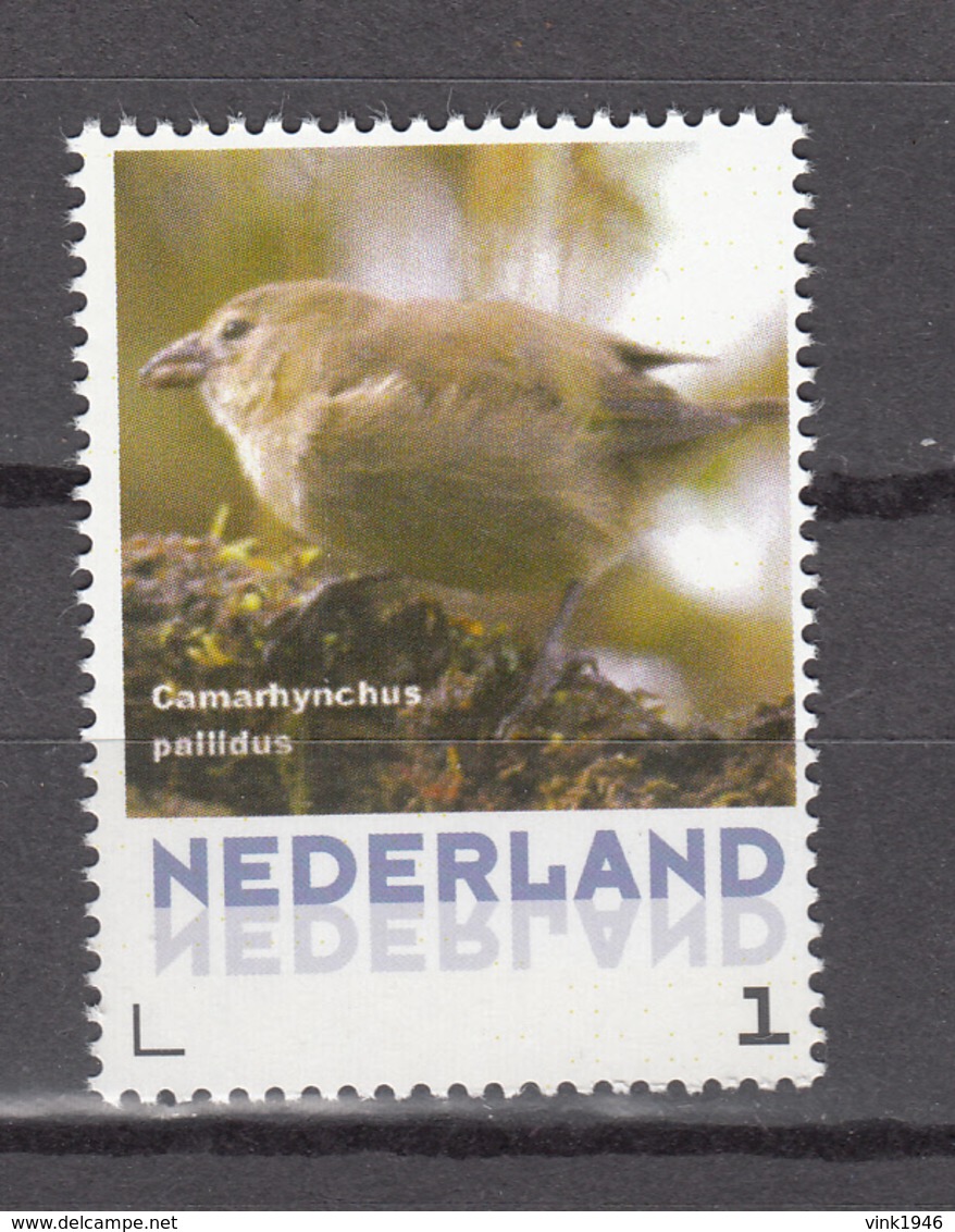 Nederland/Netherlands 2015,1V,customized,RARE,bird,vogel,vögel,oiseaux,pajaros,,MNH/Postfris(V003) - Andere & Zonder Classificatie