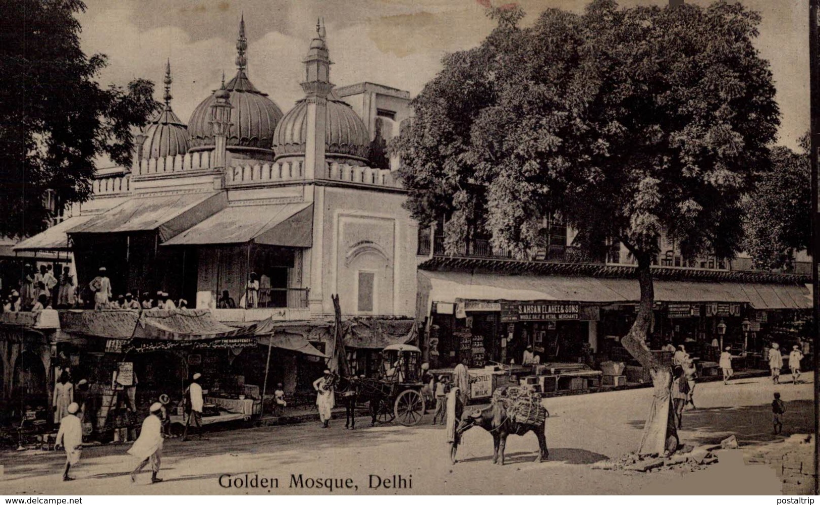 Golden Mosque, Delhi. INDIA // INDE. - Inde