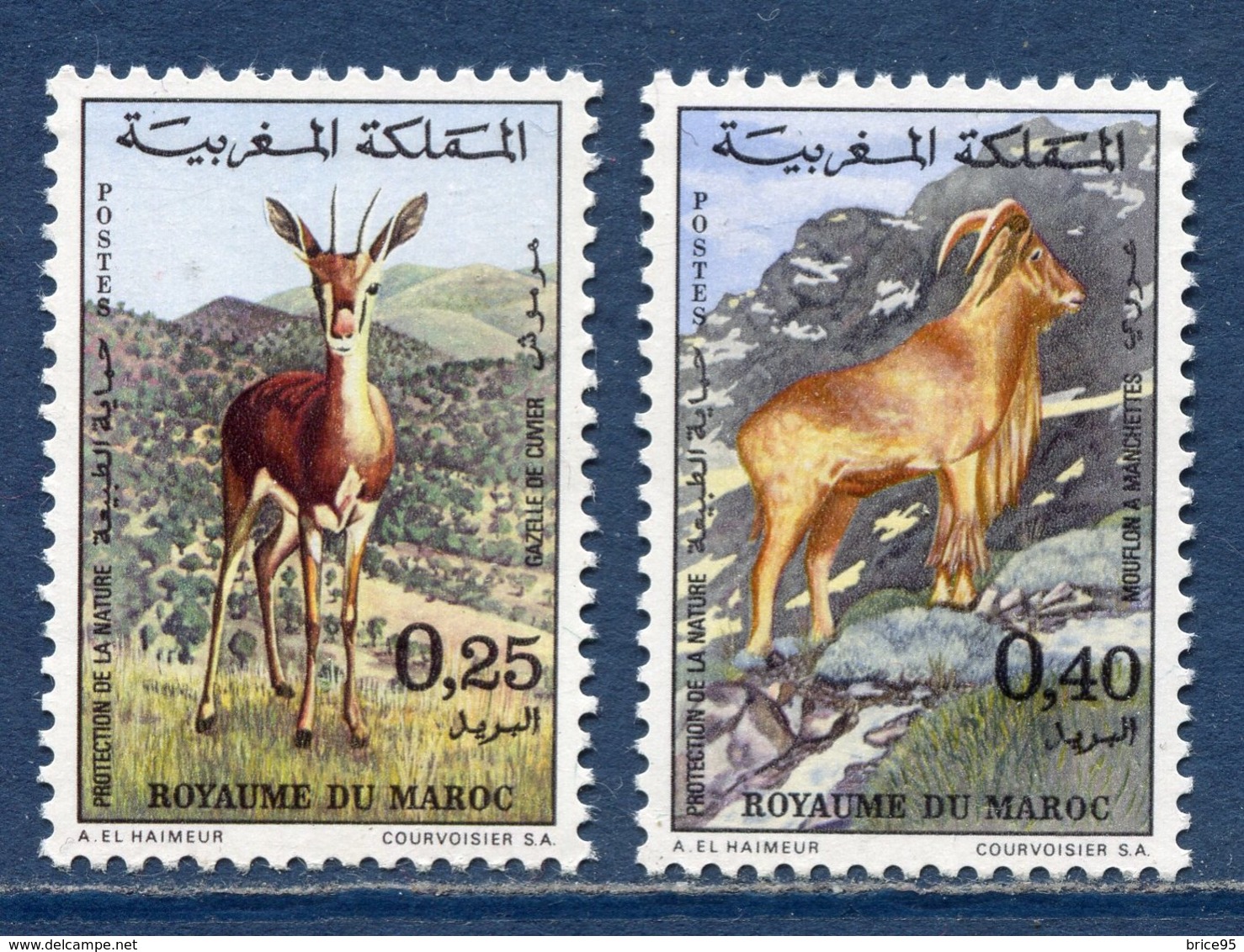 Maroc - YT N° 646 Et 647 - Neuf Sans Charnière - 1972 - Morocco (1956-...)