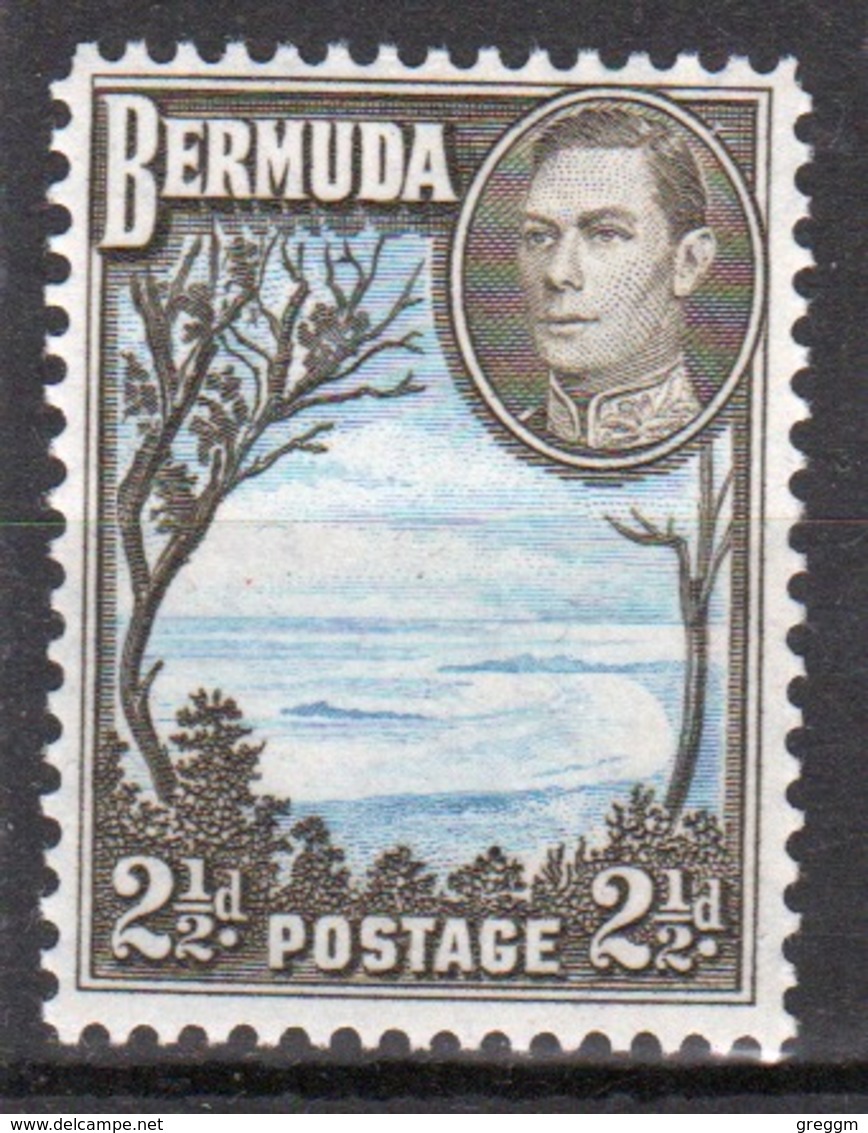 Bermuda George VI 2½d Single Stamp From The 1938 Definitive Set. - Bermuda