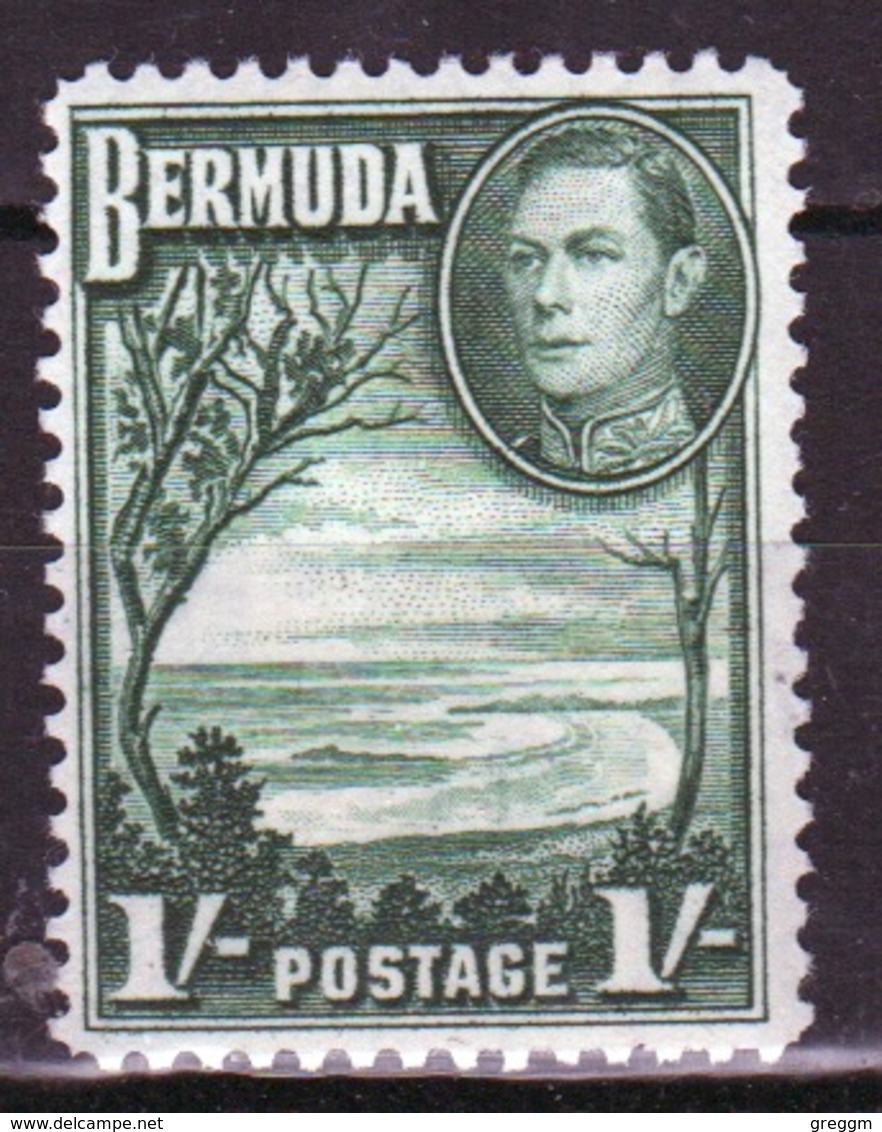 Bermuda George VI One Shilling Single Stamp From The 1938 Definitive Set. - Bermuda