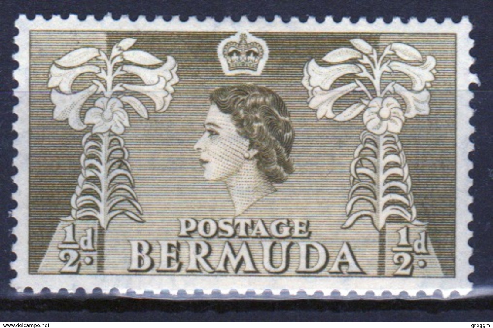 Bermuda Elizabeth II Half Penny Single Stamp From The 1953 Definitive Set. - Bermuda