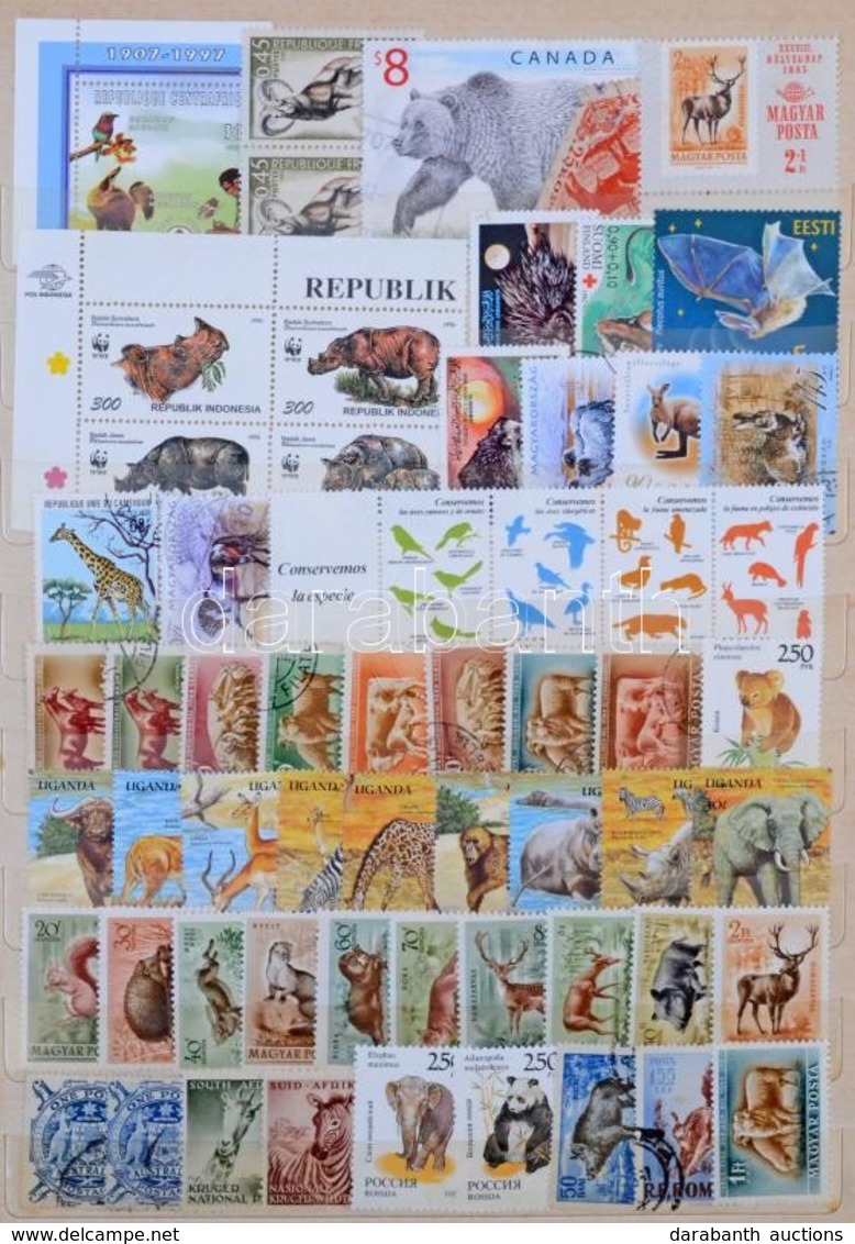 O Állatok Gyűjtemény / Tétel: 1720 Db Bélyeg és 3 Db Blokk A4-es Berakóban - Other & Unclassified