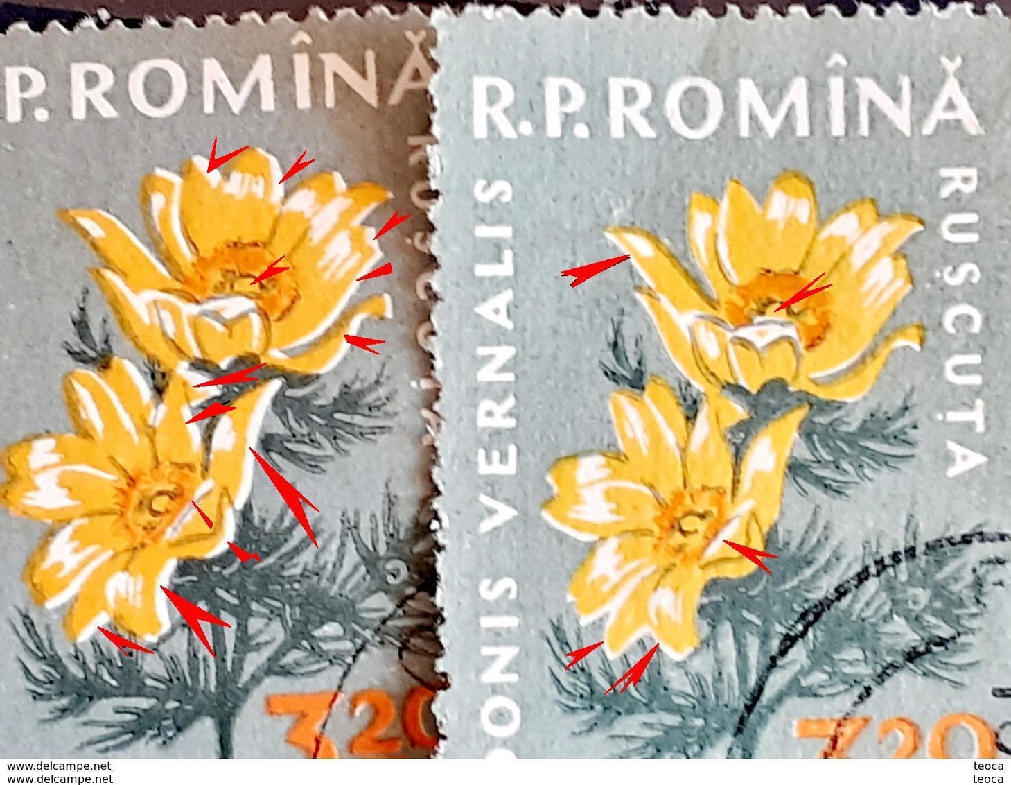 Error Romania 1960, MI 1823 Flowers With Errors  Used - Variedades Y Curiosidades