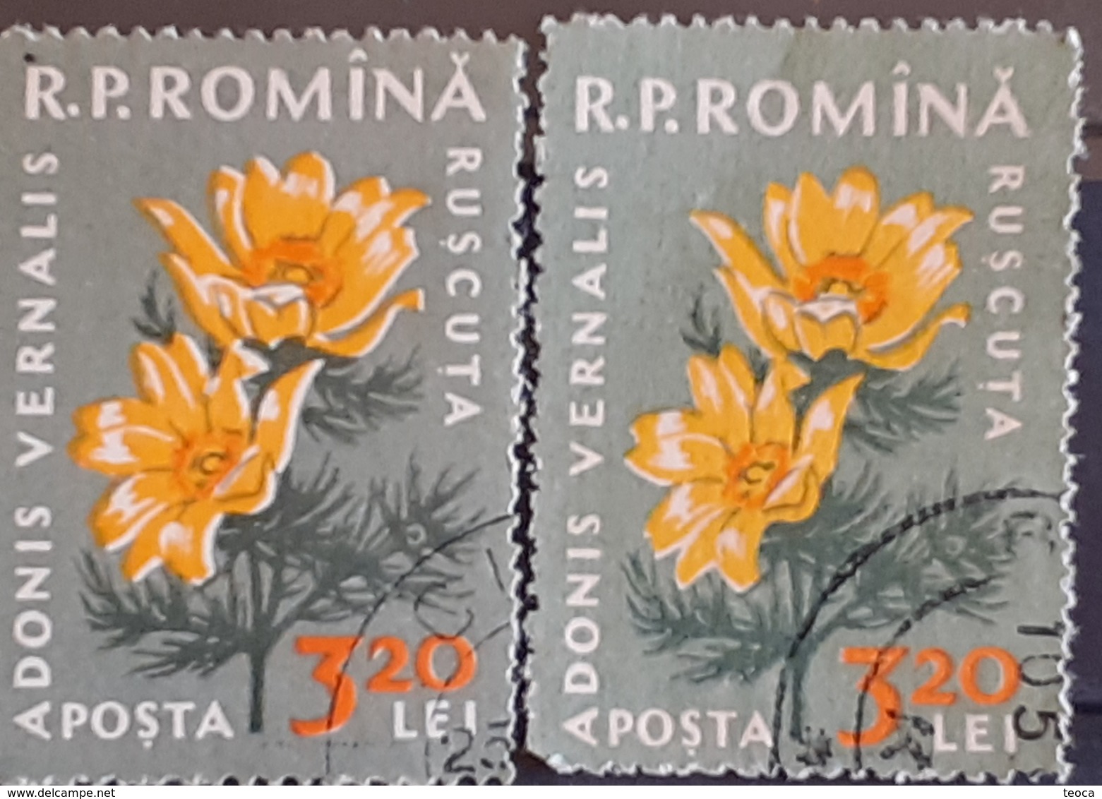 Error Romania 1960, MI 1823 Flowers With Errors  Used - Variedades Y Curiosidades