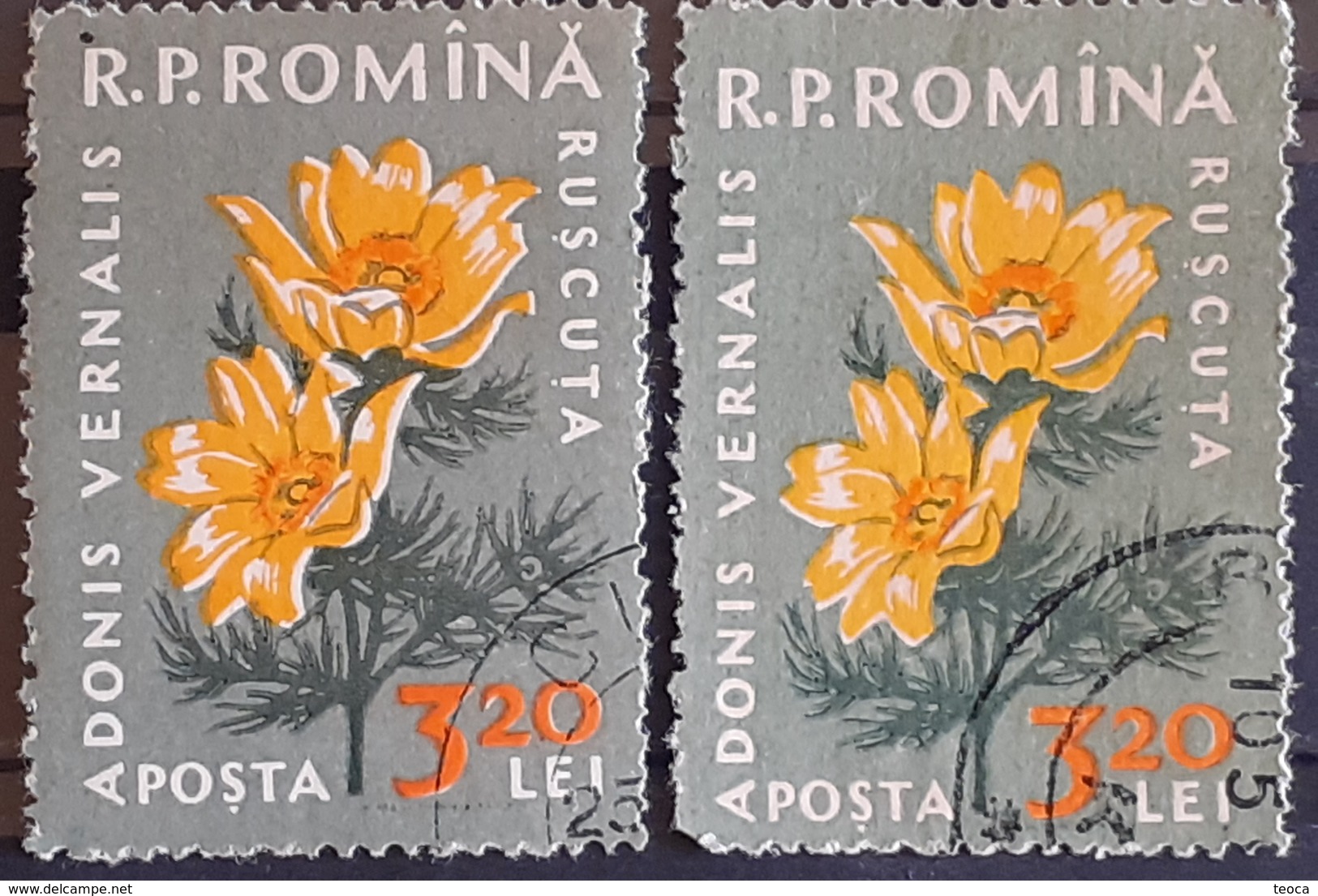 Error Romania 1960, MI 1823 Flowers With Errors  Used - Variedades Y Curiosidades