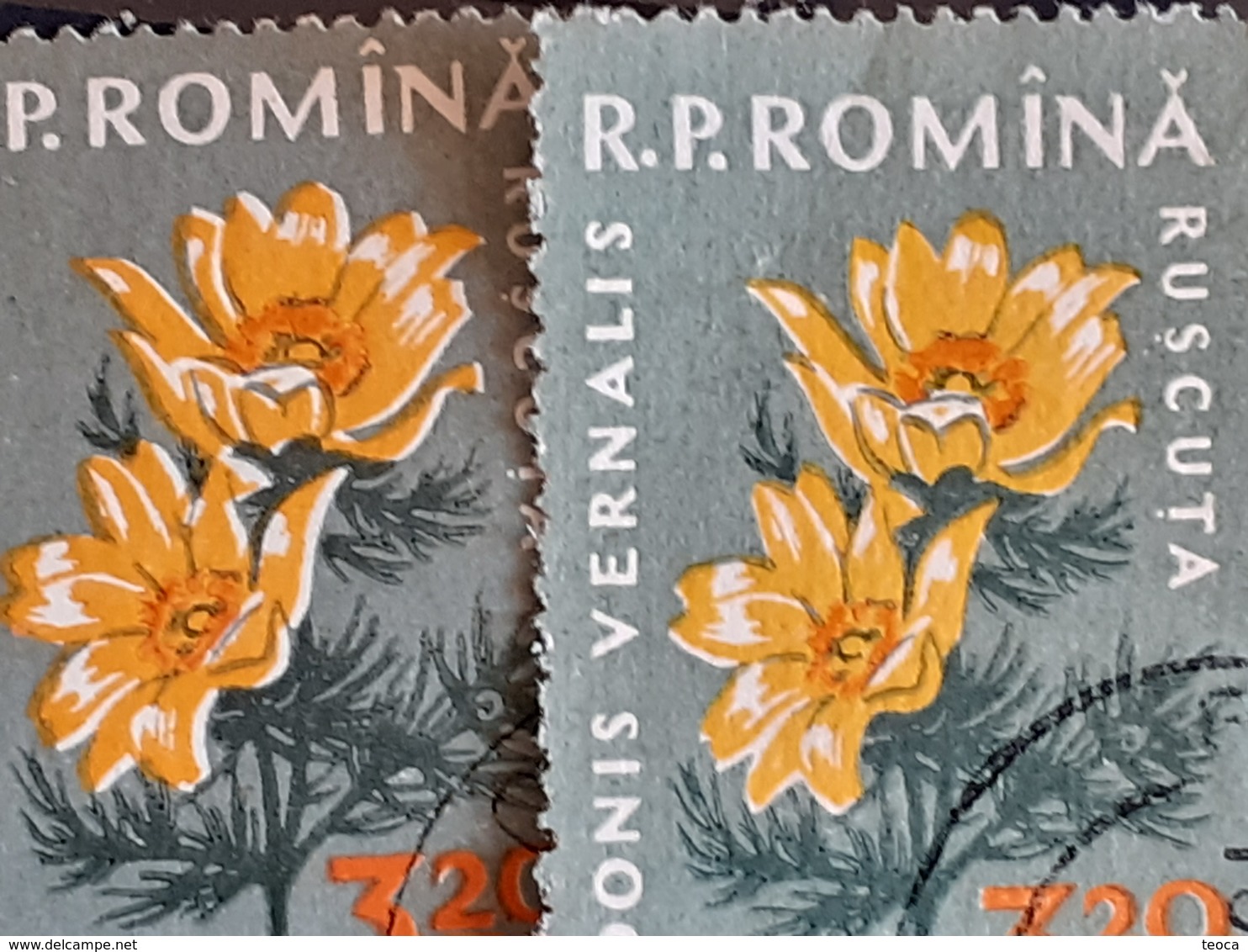 Error Romania 1960, MI 1823 Flowers With Errors  Used - Variedades Y Curiosidades