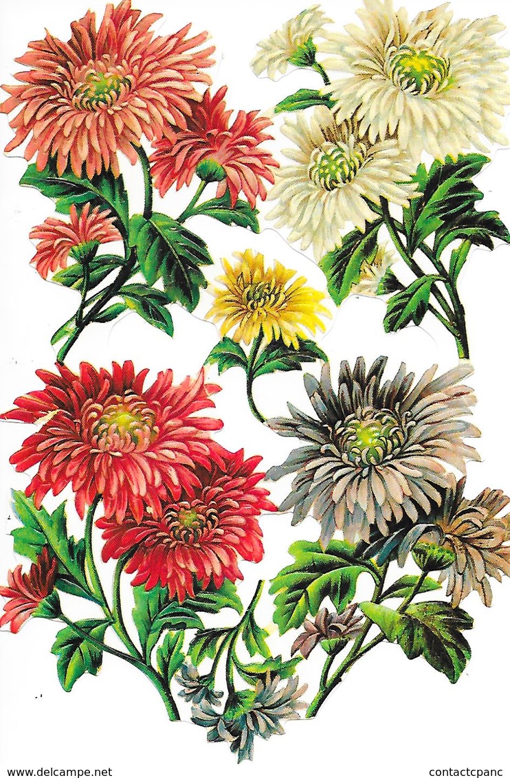 CHROMO Découpi ( Format = 12cm X 18cm ) - Blumen