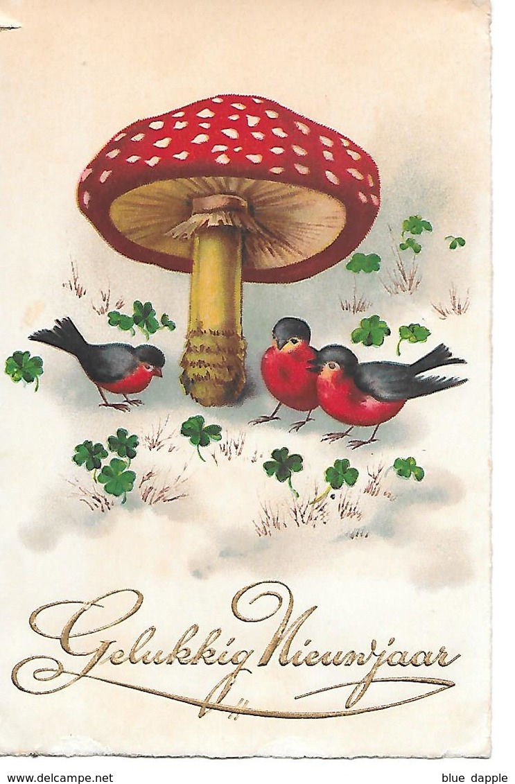 Champignon, Pilze, Funghi, Mushroom, Birds, Oiseaux, Vögel, Clover, Klee, Trèfle - Nouvel An