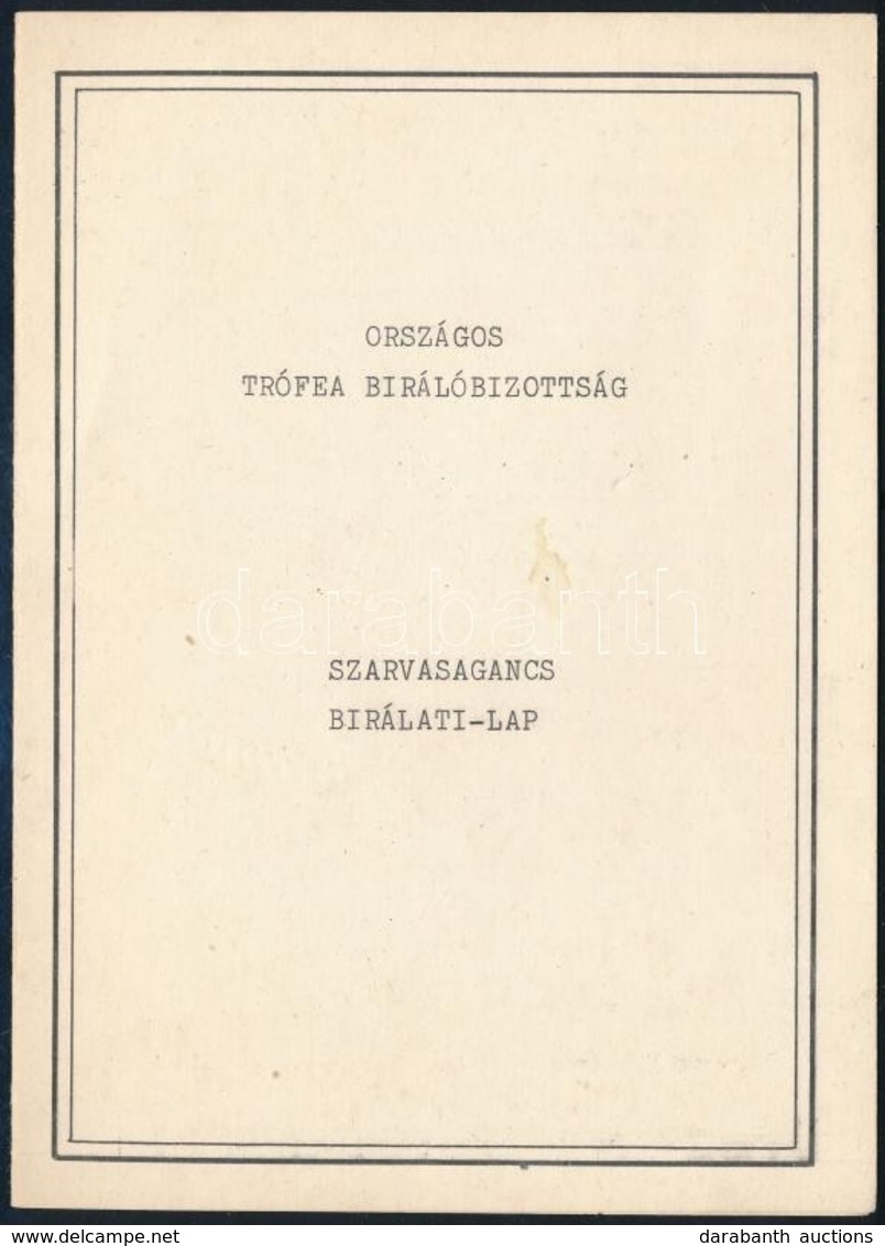 1970 Az Országos Trófea Bírálóbizottság által Kiállított Szarvasagancs Bírálati Lap - Ohne Zuordnung