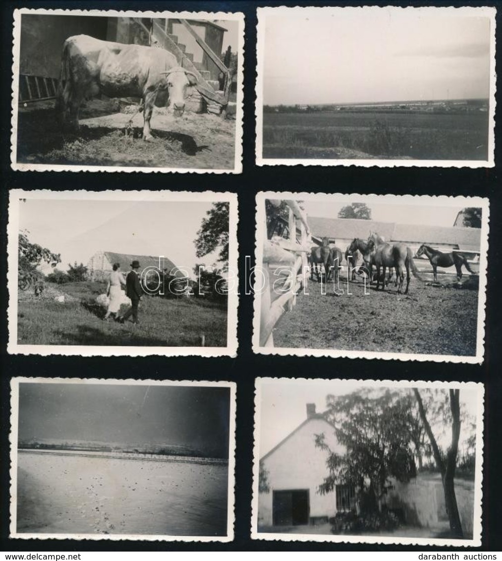 1933-35 Nagytétényi Tájak, életképek,  A Képek Hátoldalon Feliratozva, 30 Db, 9x6 Cm - Autres & Non Classés